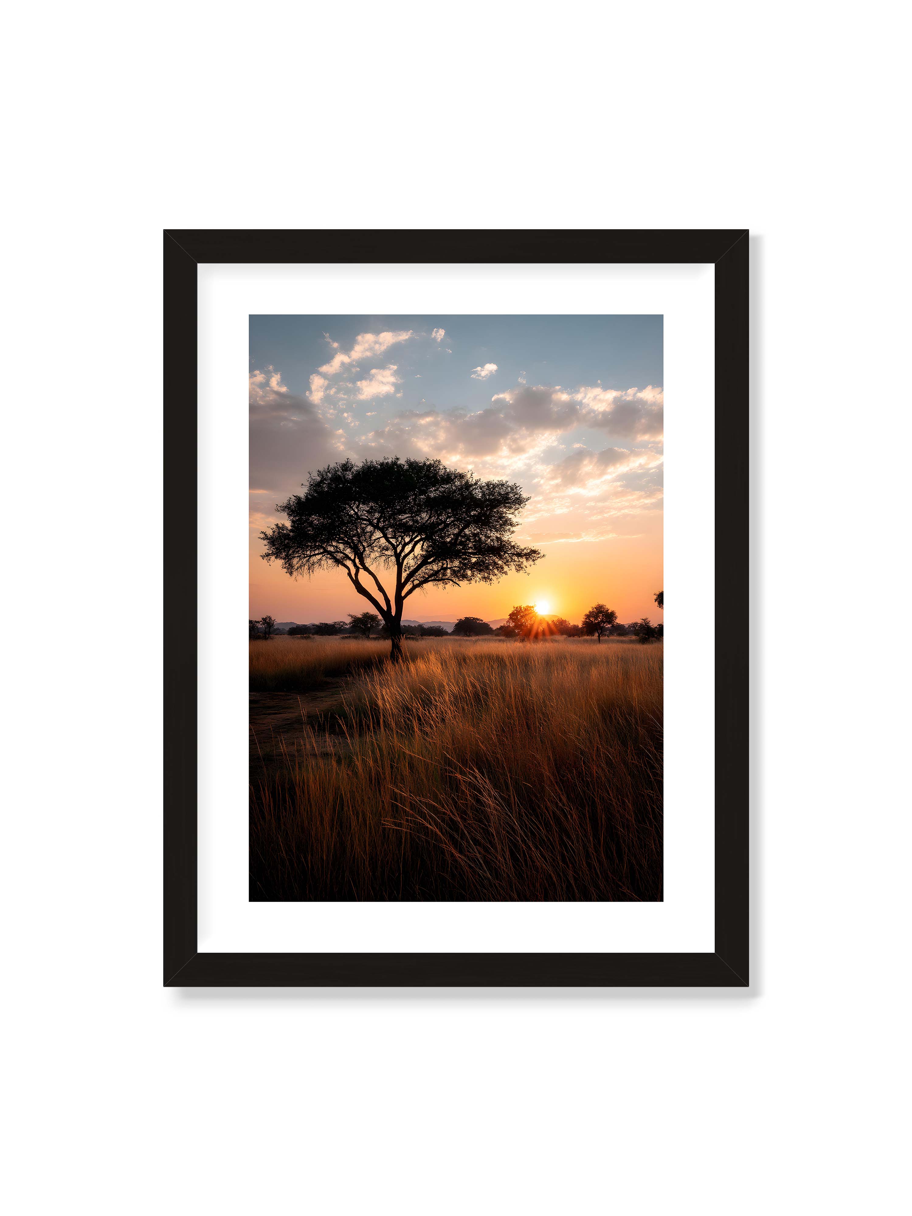 30x40 cm mit weißem Galerie-Rand mit schwarzem Rahmen – Akazienbaum in weiter Savannenlandschaft bei goldenem Sonnenuntergang mit hohem Gras und ruhigem Himmel.