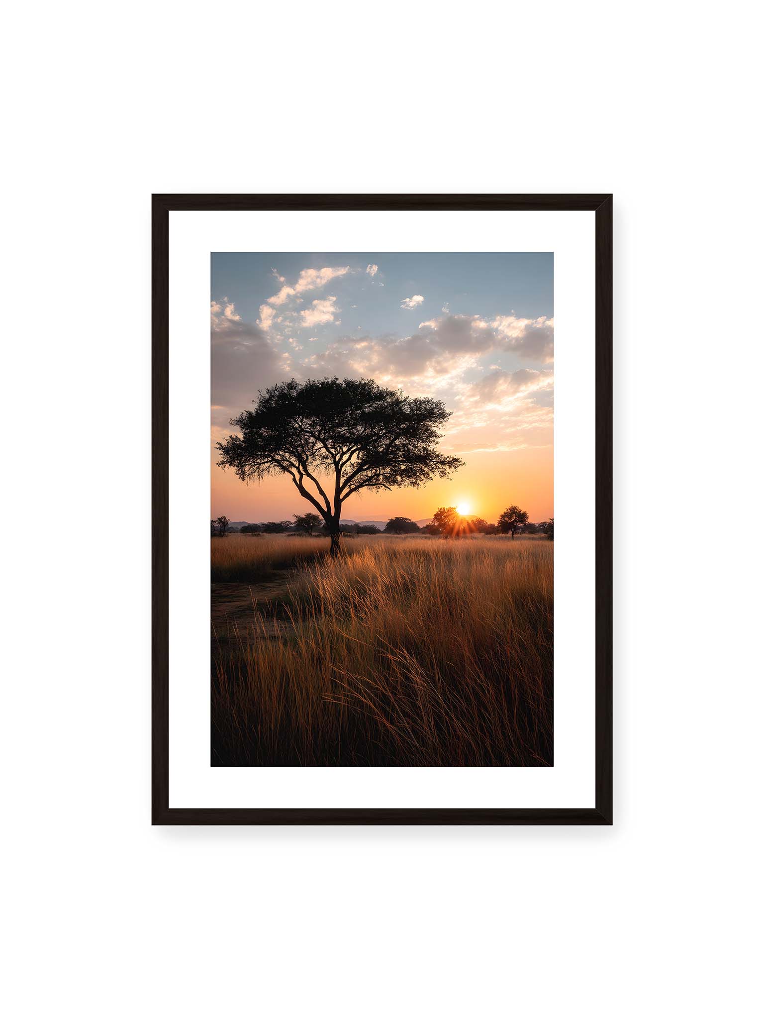 50x70 cm, weißer Galerie-Rand, schwarzer Rahmen – Akazienbaum in weiter Savannenlandschaft bei goldenem Sonnenuntergang mit hohem Gras und ruhigem Himmel.