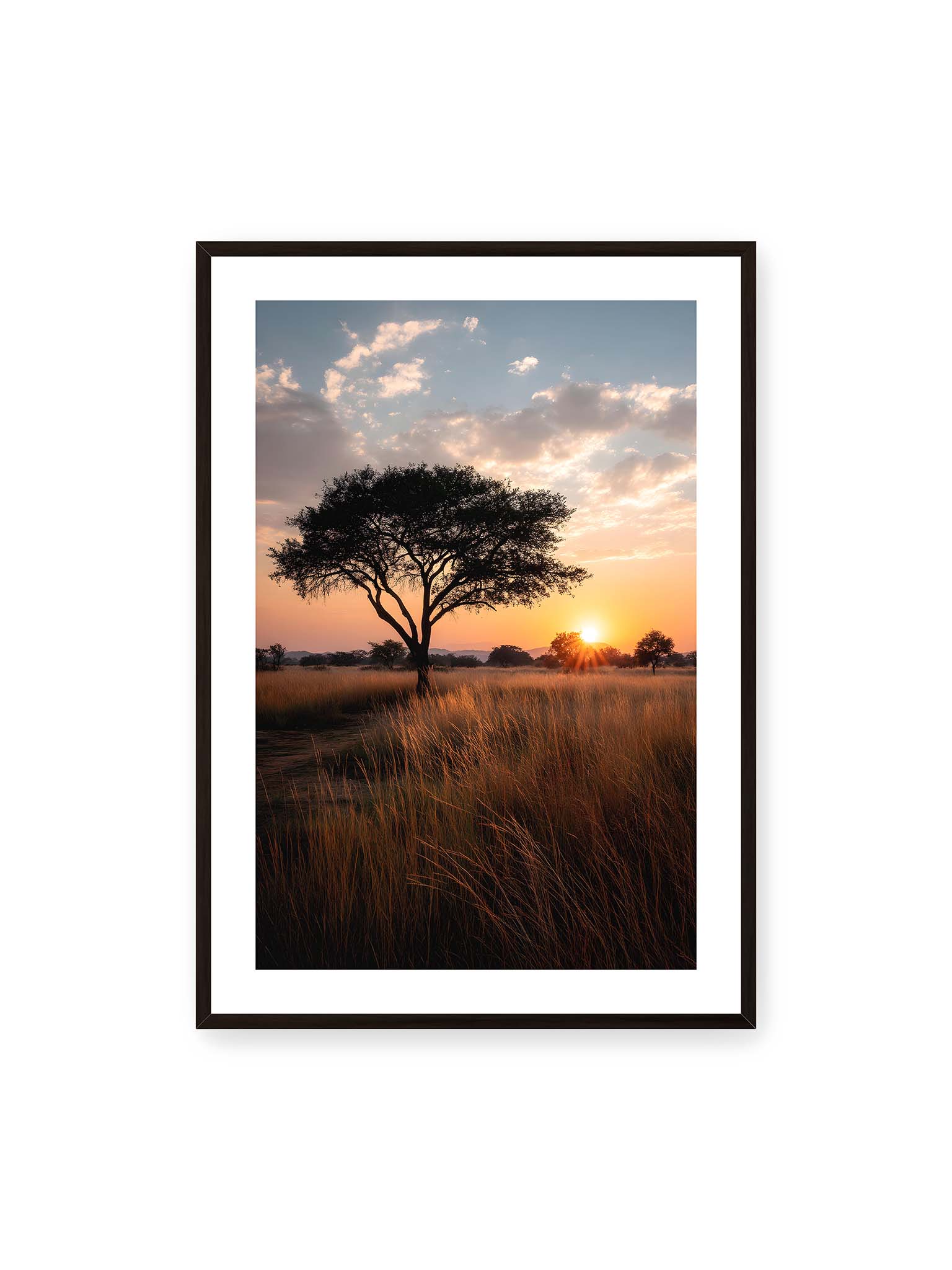 70x100 cm, weißer Galerie-Rand, schwarzer Rahmen – Akazienbaum in weiter Savannenlandschaft bei goldenem Sonnenuntergang mit hohem Gras und ruhigem Himmel.