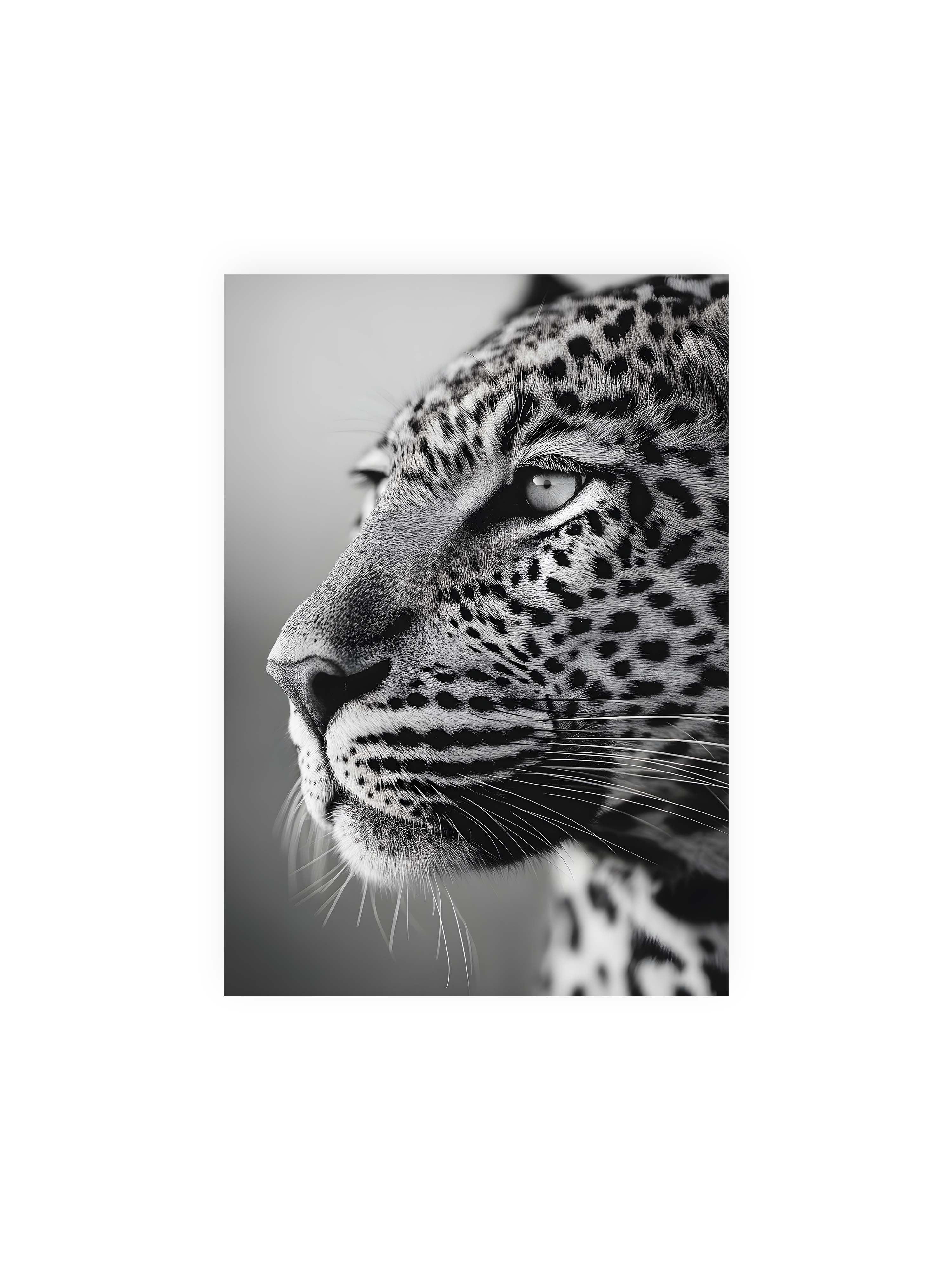 21x30 cm ohne Galerie-Rand ohne Rahmen – Schwarzweißes Porträt eines Leoparden mit ruhigem Blick, sichtbarer Fellstruktur und feinen Schnurrhaaren.