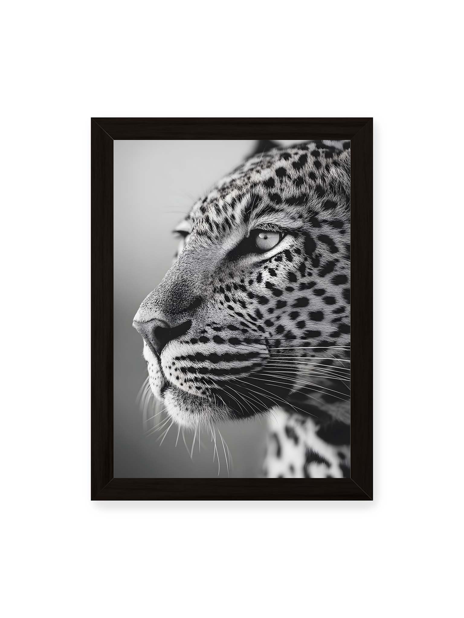 21x30 cm, schwarzer Rahmen – Schwarzweißes Porträt eines Leoparden mit ruhigem Blick, sichtbarer Fellstruktur und feinen Schnurrhaaren.