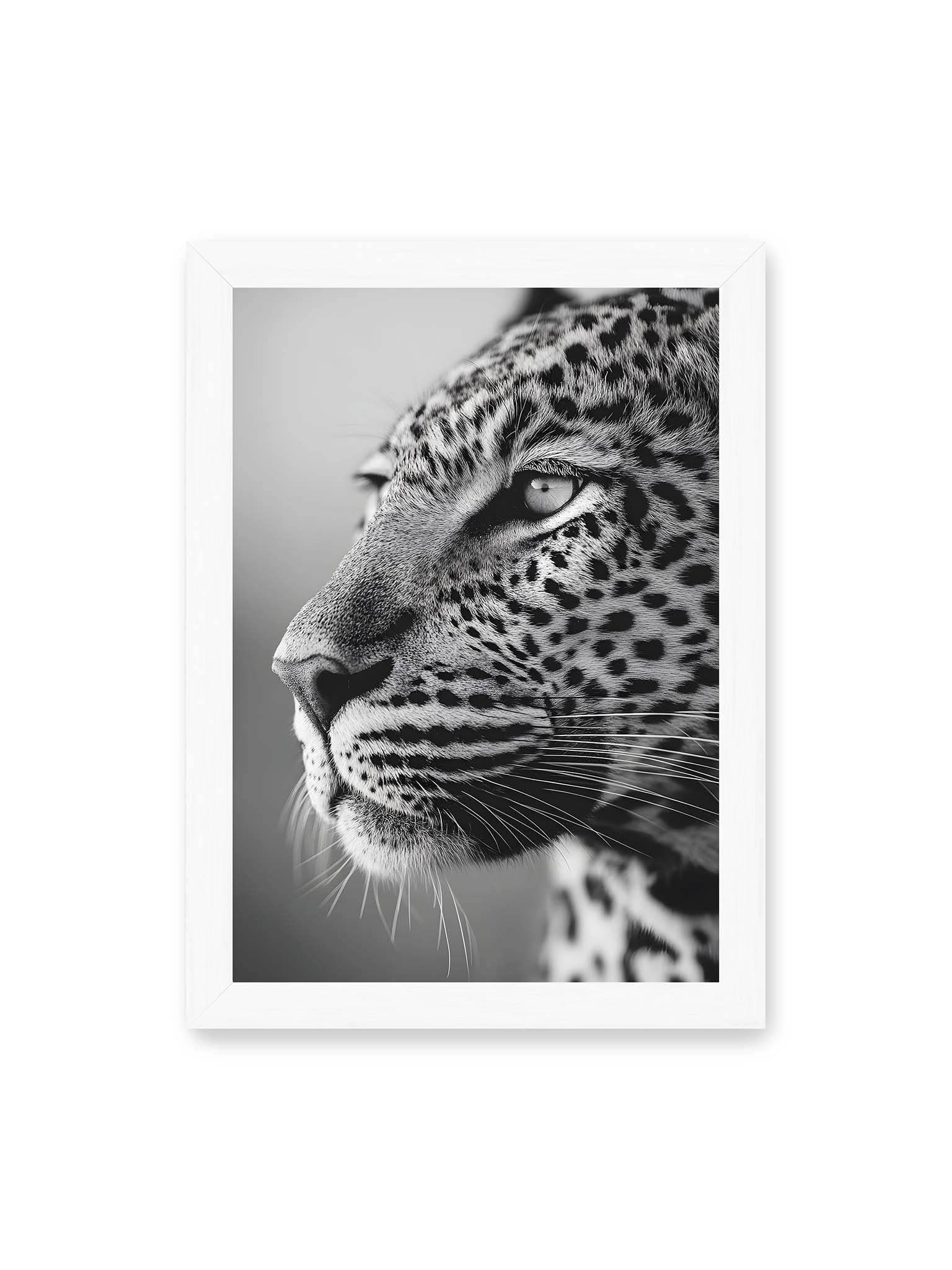21x30 cm, weißer Rahmen – Schwarzweißes Porträt eines Leoparden mit ruhigem Blick, sichtbarer Fellstruktur und feinen Schnurrhaaren.