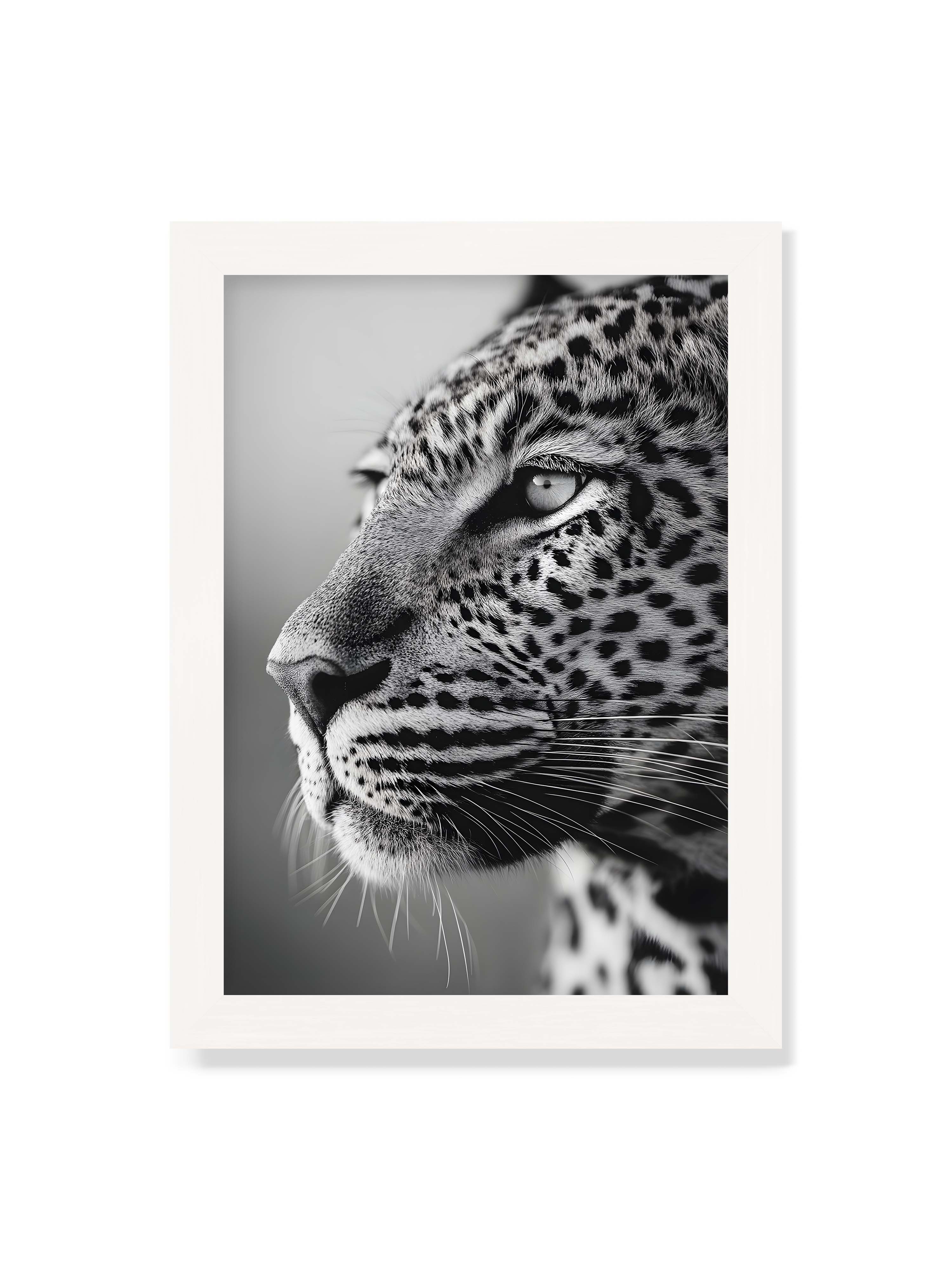 21x30 cm ohne Galerie-Rand mit weißem Rahmen – Schwarzweißes Porträt eines Leoparden mit ruhigem Blick, sichtbarer Fellstruktur und feinen Schnurrhaaren.