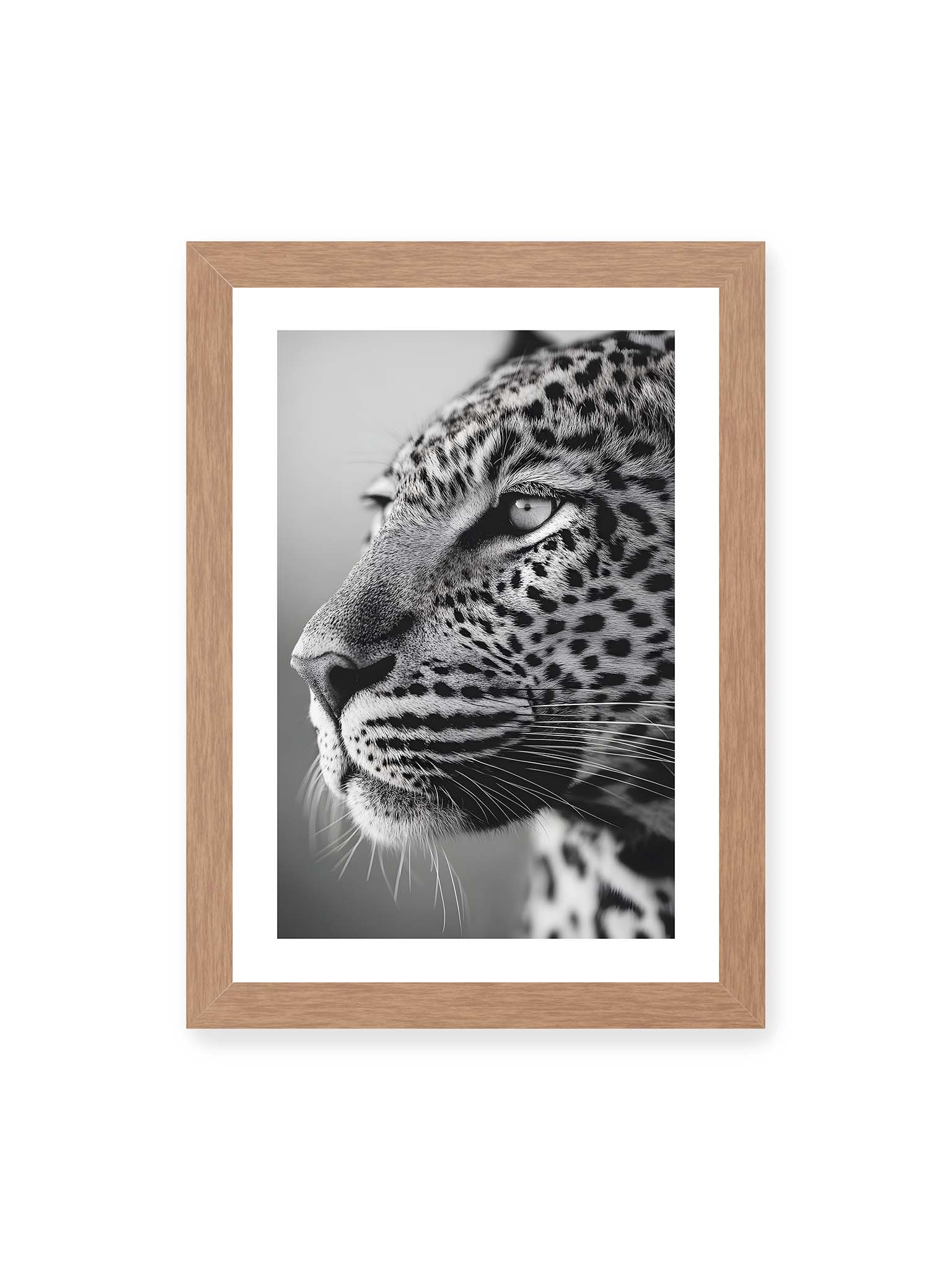 21x30 cm, weißer Galerie-Rand, Eichenrahmen – Schwarzweißes Porträt eines Leoparden mit ruhigem Blick, sichtbarer Fellstruktur und feinen Schnurrhaaren.