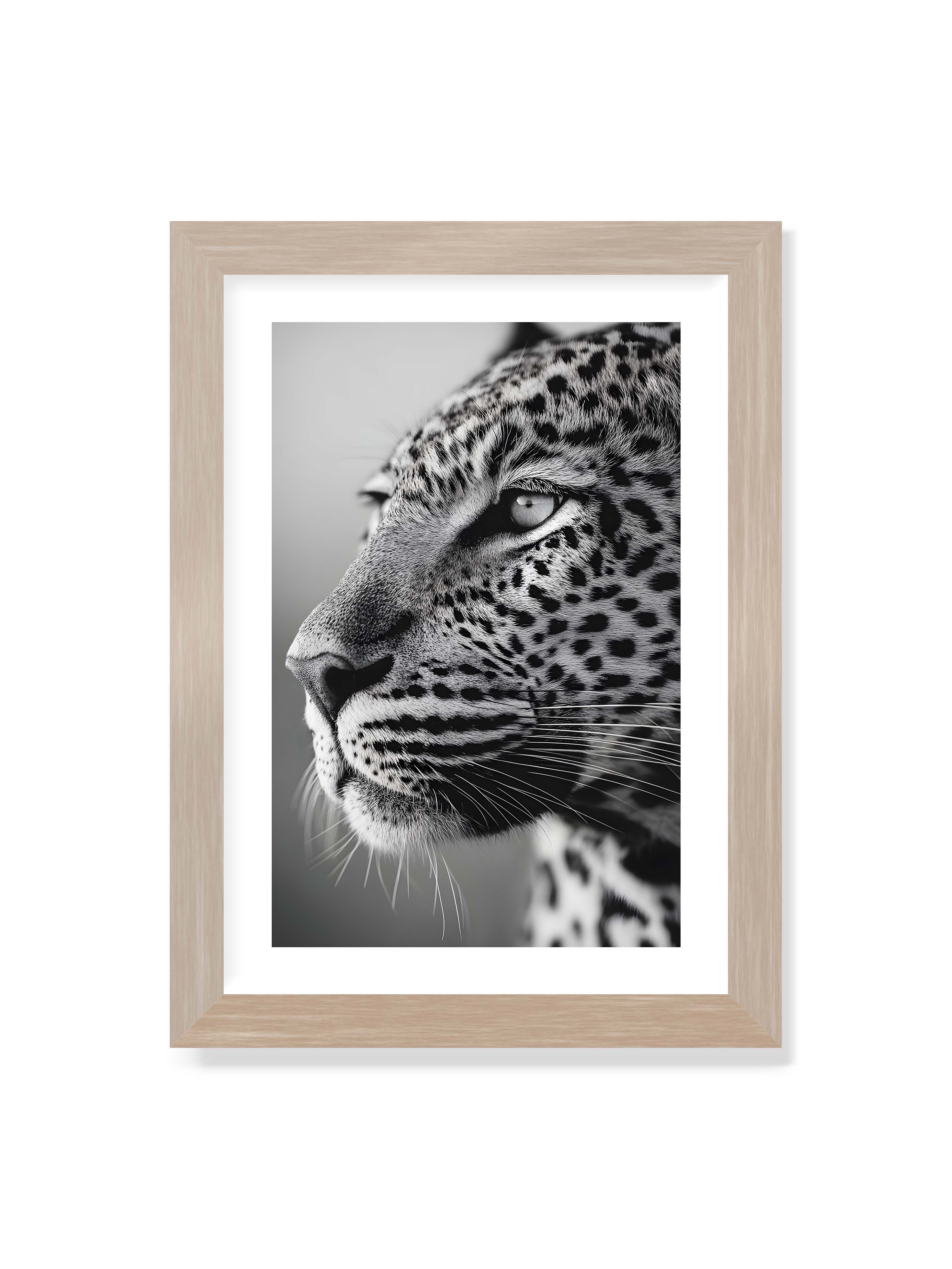 21x30 cm mit weißem Galerie-Rand im Eichenrahmen – Schwarzweißes Porträt eines Leoparden mit ruhigem Blick, sichtbarer Fellstruktur und feinen Schnurrhaaren.