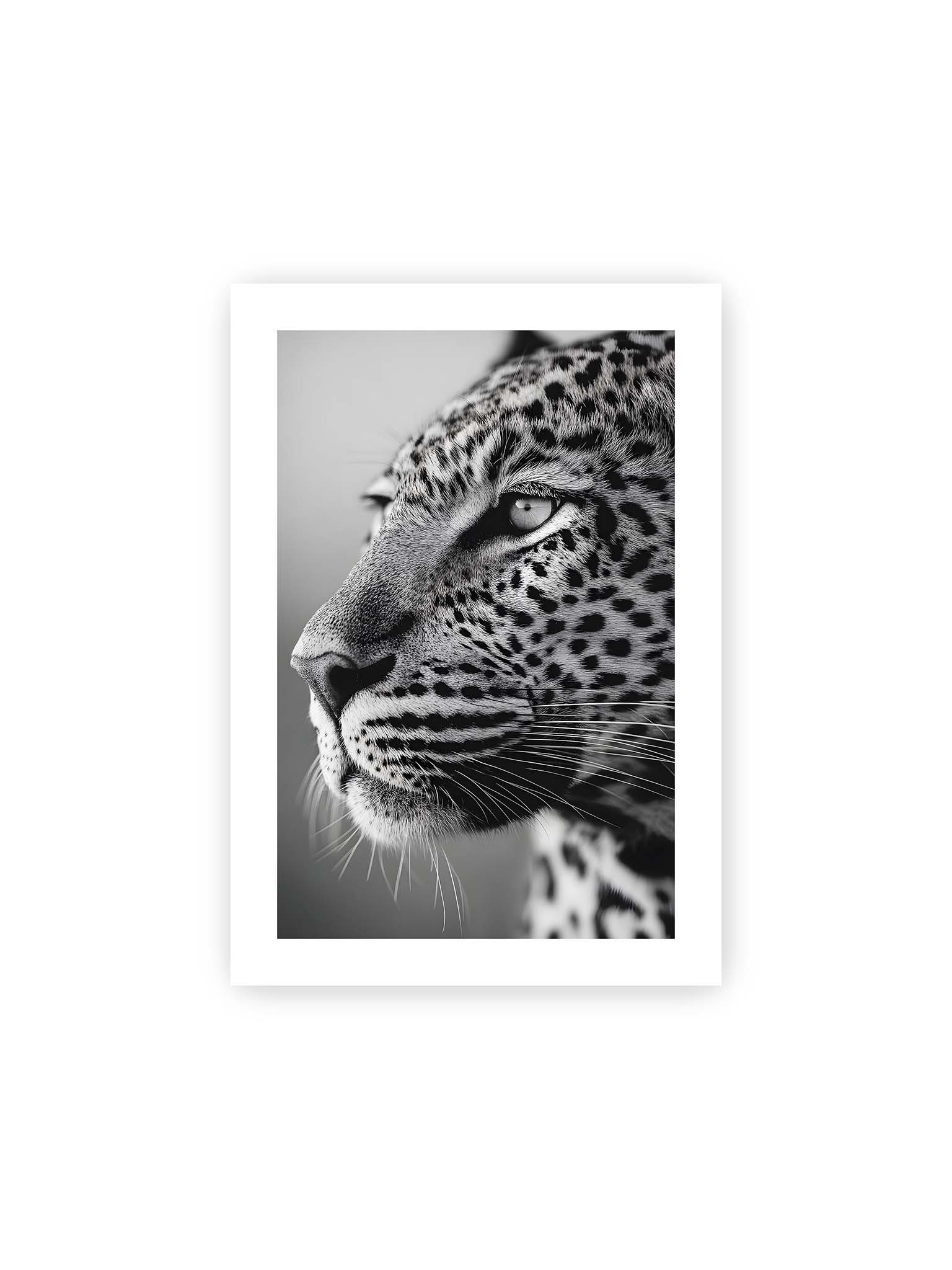 21x30 cm, weißer Galerie-Rand – Schwarzweißes Porträt eines Leoparden mit ruhigem Blick, sichtbarer Fellstruktur und feinen Schnurrhaaren.