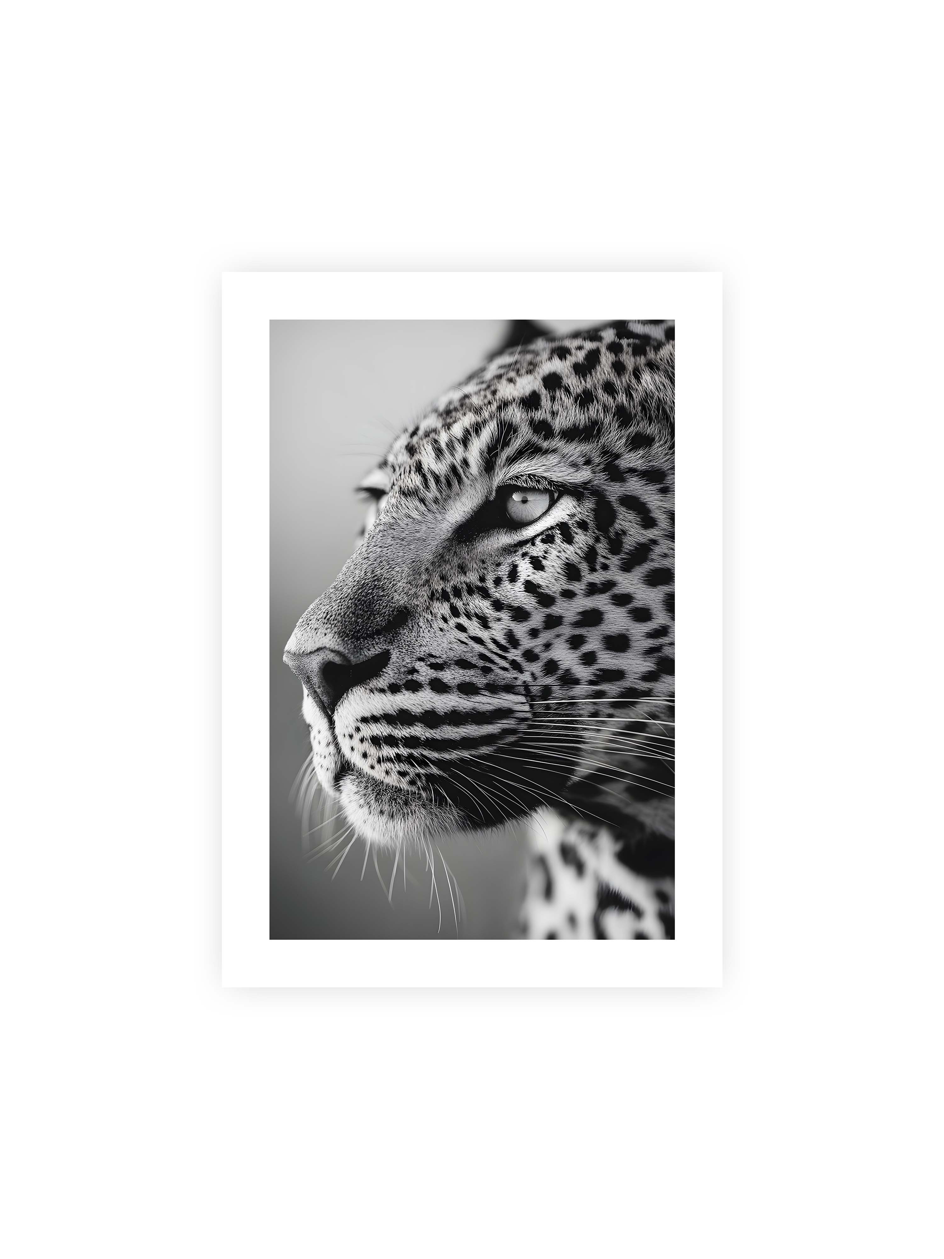21x30 cm mit weißem Galerie-Rand ohne Rahmen – Schwarzweißes Porträt eines Leoparden mit ruhigem Blick, sichtbarer Fellstruktur und feinen Schnurrhaaren.