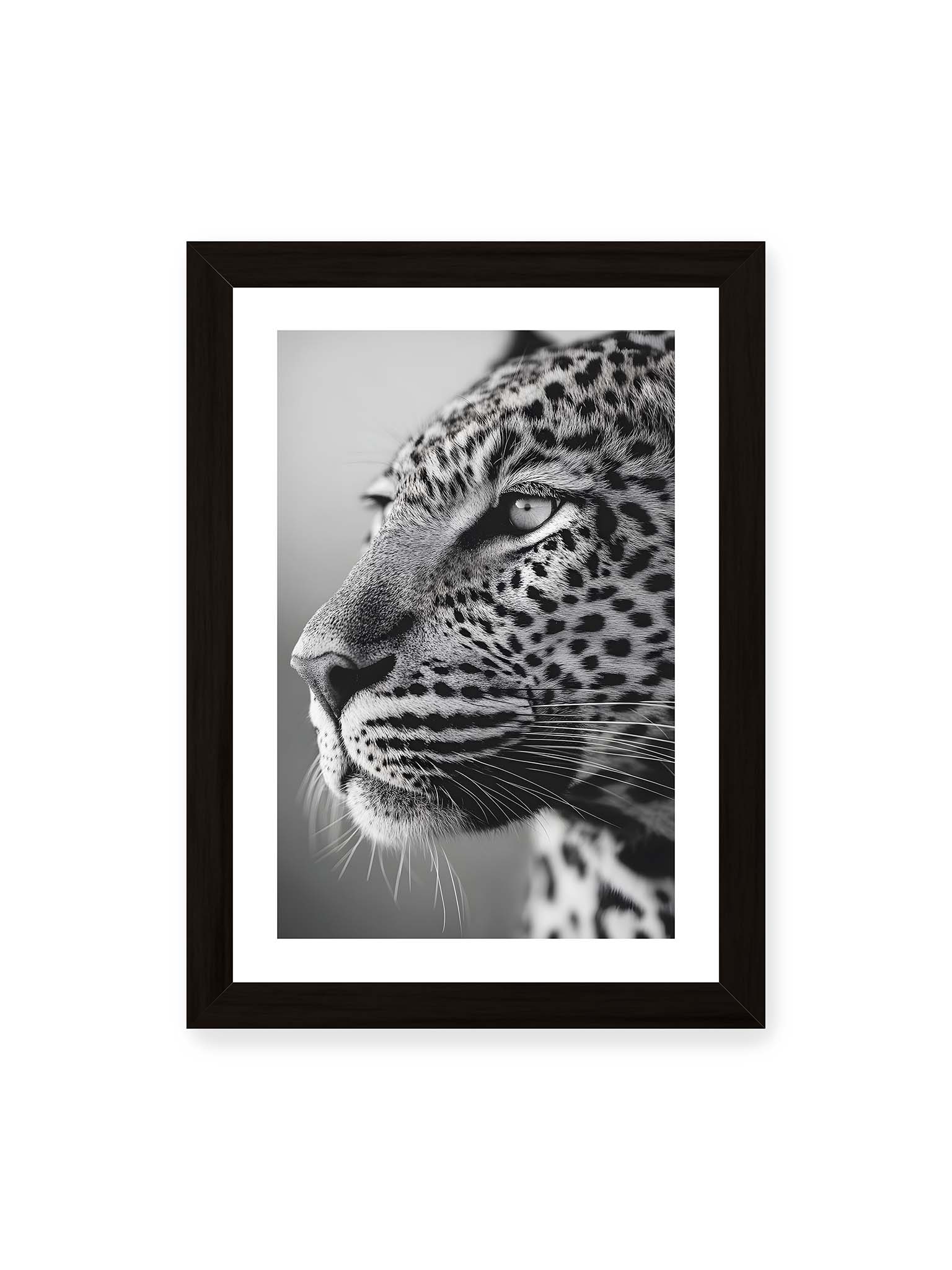 21x30 cm, weißer Galerie-Rand, schwarzer Rahmen – Schwarzweißes Porträt eines Leoparden mit ruhigem Blick, sichtbarer Fellstruktur und feinen Schnurrhaaren.