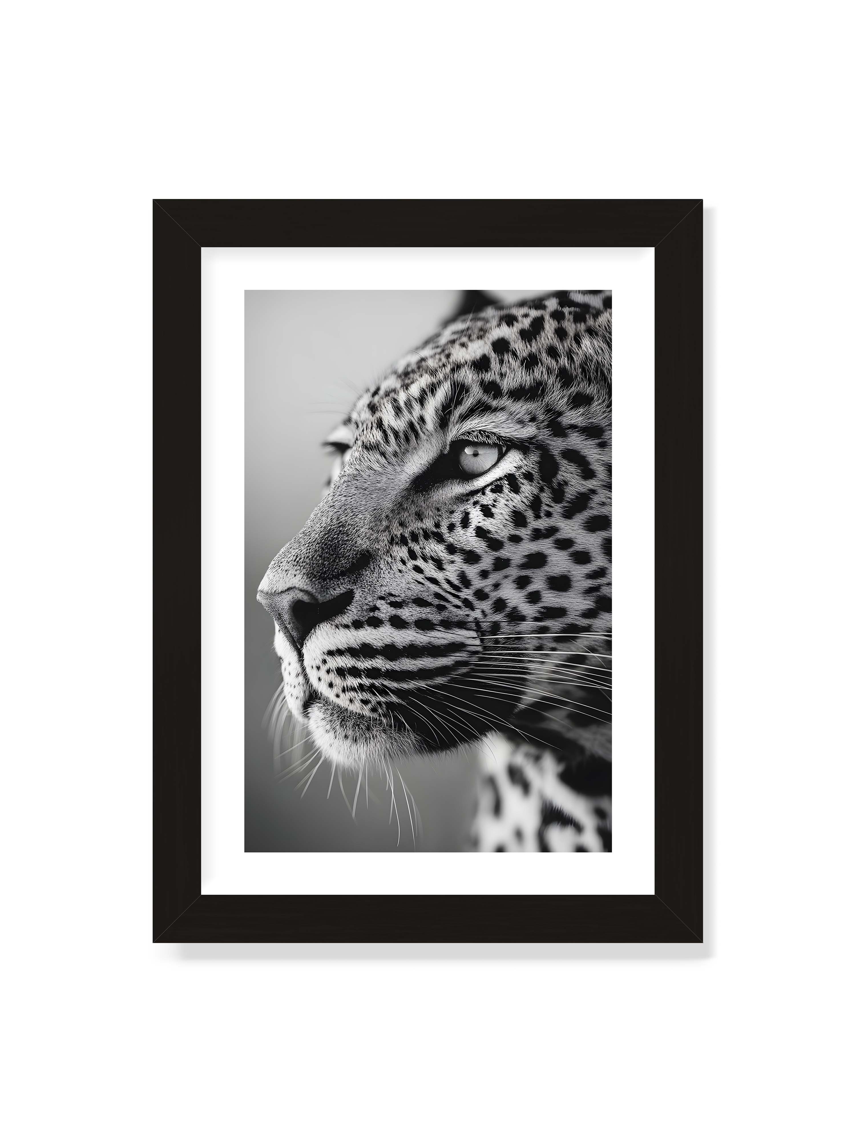 21x30 cm mit weißem Galerie-Rand mit schwarzem Rahmen – Schwarzweißes Porträt eines Leoparden mit ruhigem Blick, sichtbarer Fellstruktur und feinen Schnurrhaaren.