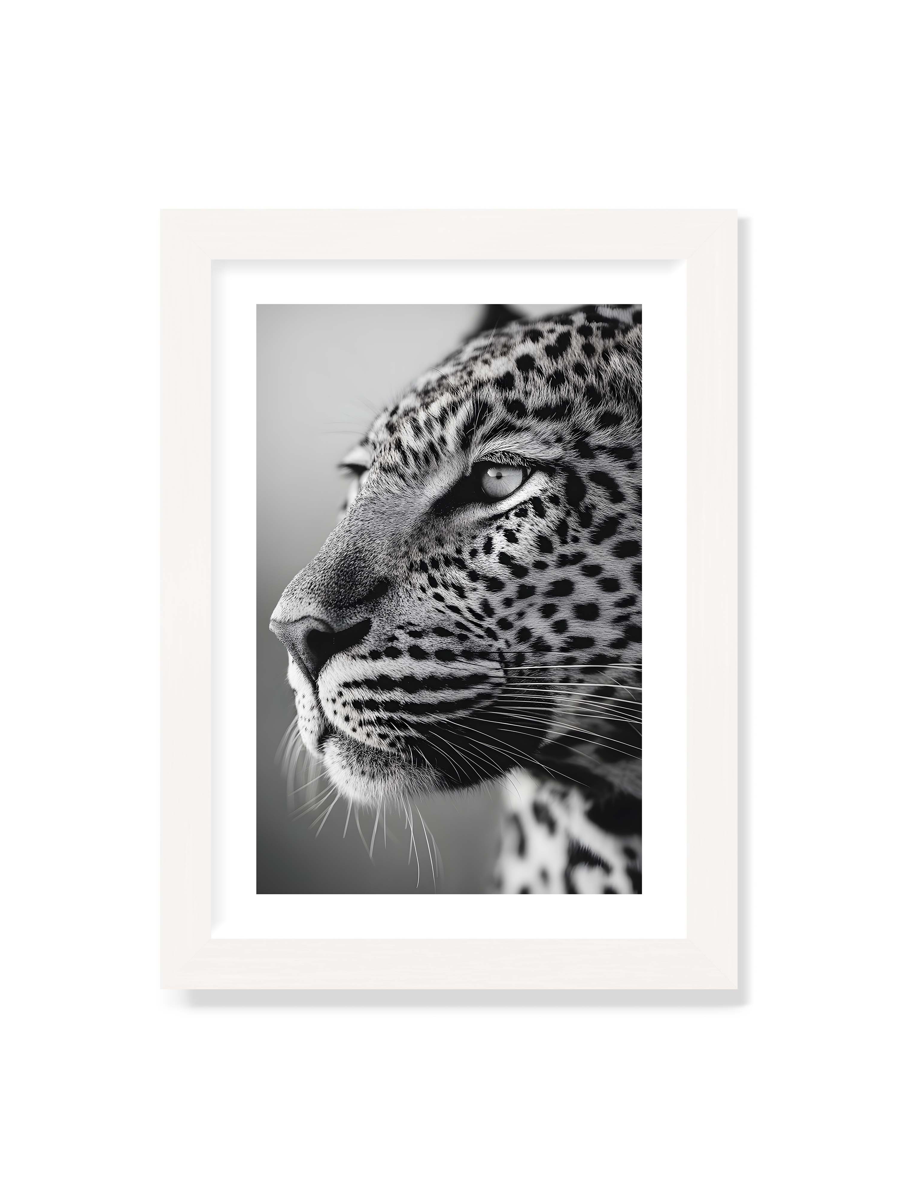 21x30 cm mit weißem Galerie-Rand mit weißem Rahmen – Schwarzweißes Porträt eines Leoparden mit ruhigem Blick, sichtbarer Fellstruktur und feinen Schnurrhaaren.