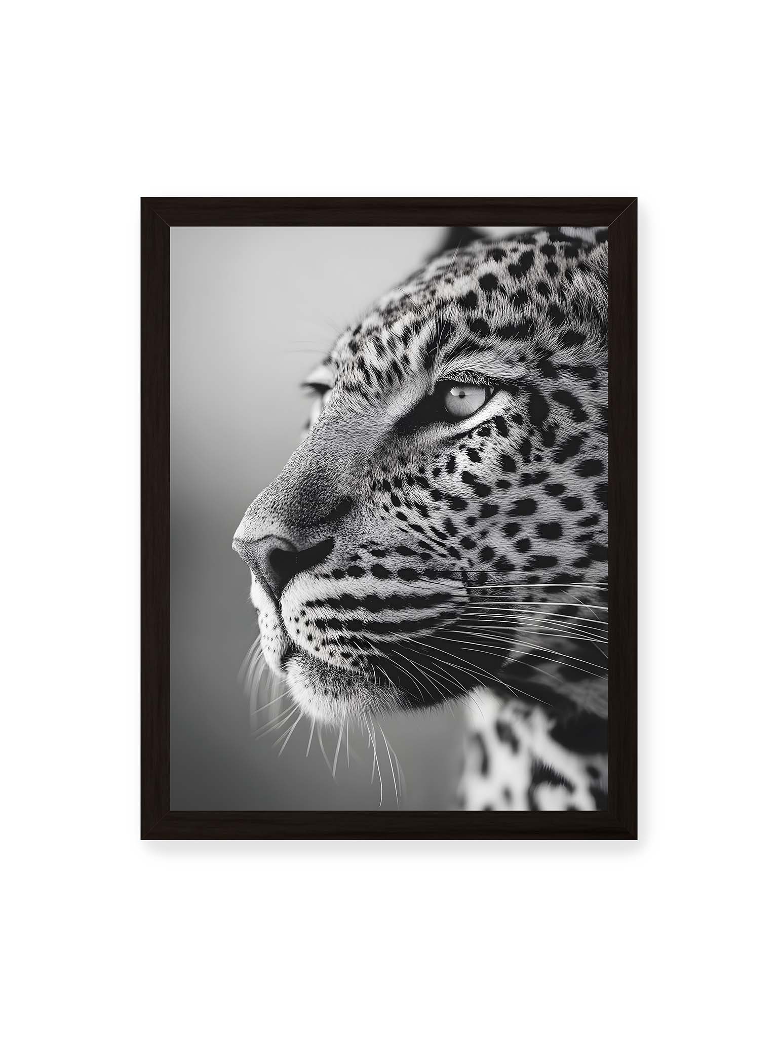 30x40 cm, schwarzer Rahmen – Schwarzweißes Porträt eines Leoparden mit ruhigem Blick, sichtbarer Fellstruktur und feinen Schnurrhaaren.