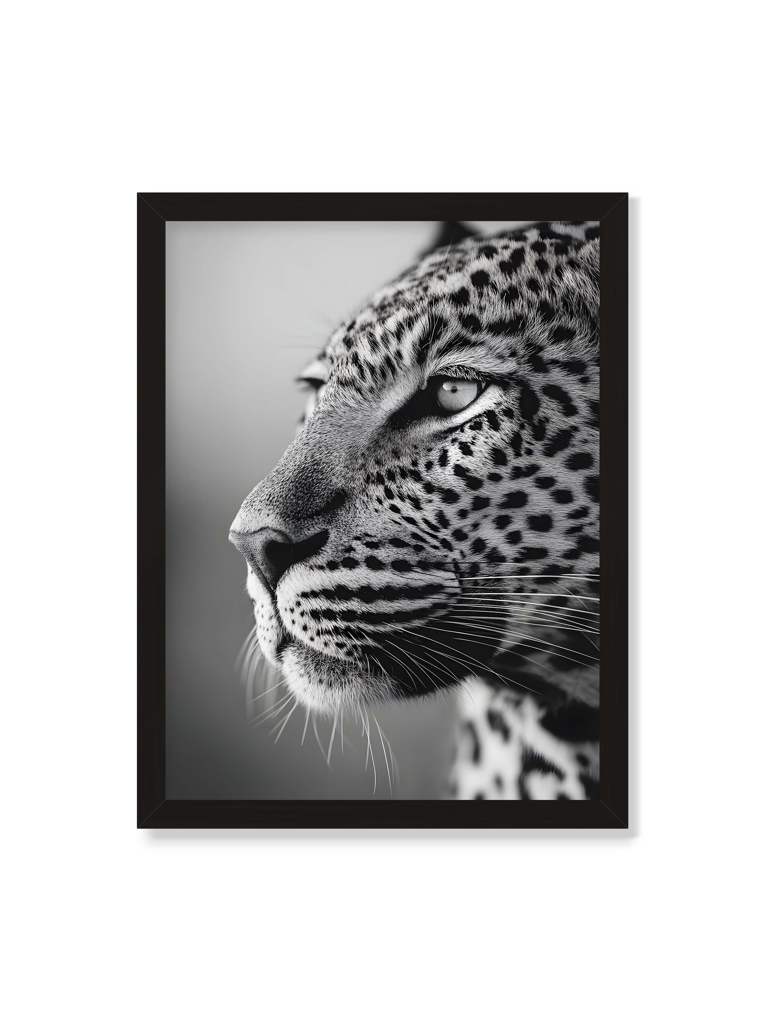 30x40 cm ohne Galerie-Rand mit schwarzem Rahmen – Schwarzweißes Porträt eines Leoparden mit ruhigem Blick, sichtbarer Fellstruktur und feinen Schnurrhaaren.