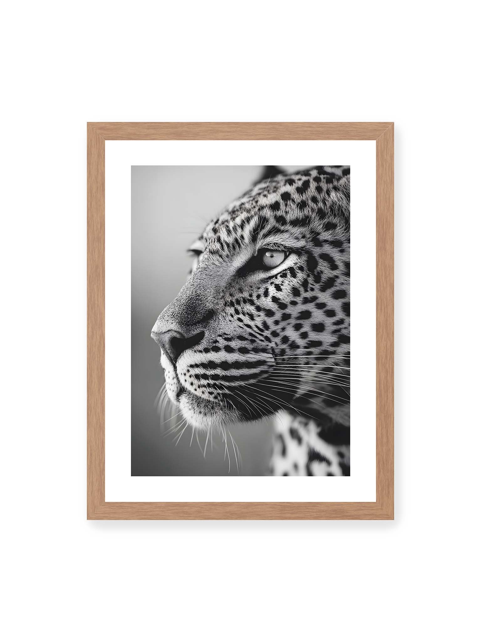 30x40 cm, weißer Galerie-Rand, Eichenrahmen – Schwarzweißes Porträt eines Leoparden mit ruhigem Blick, sichtbarer Fellstruktur und feinen Schnurrhaaren.