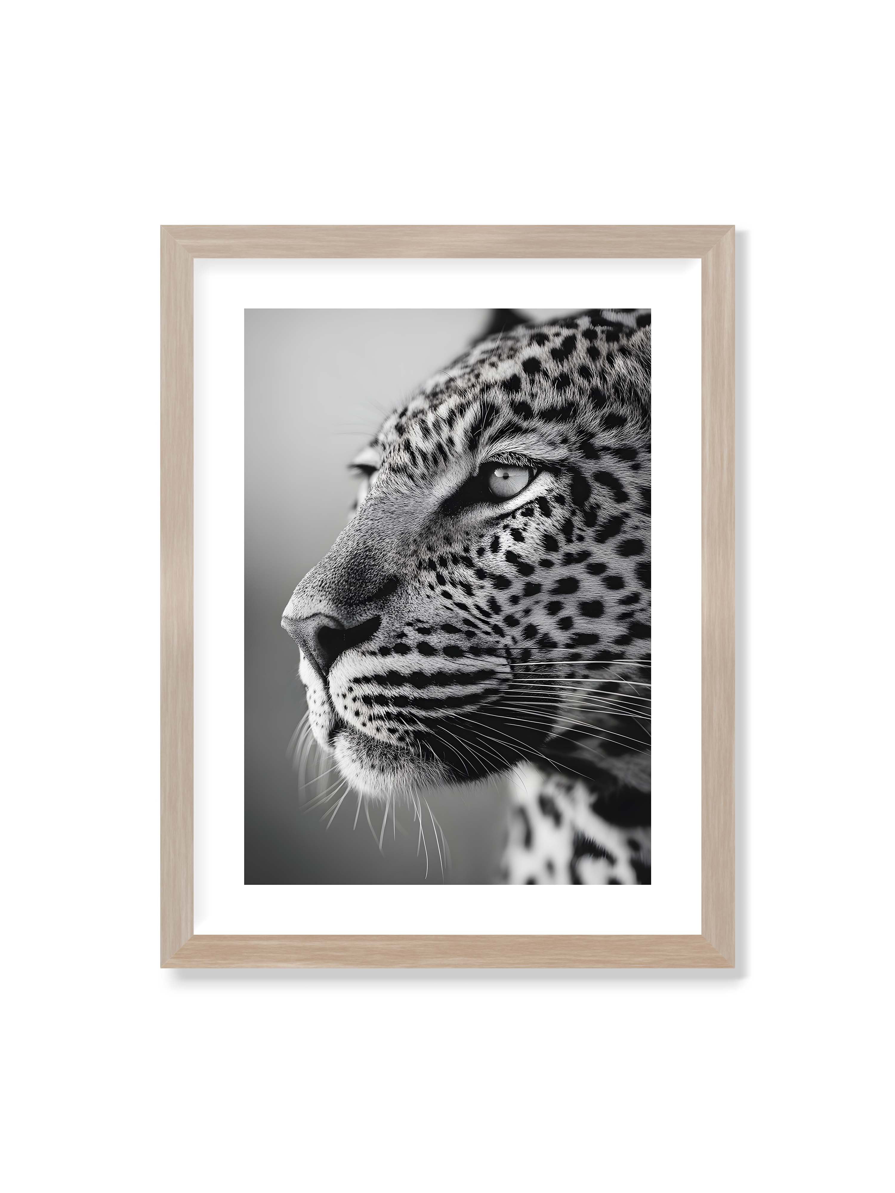 30x40 cm mit weißem Galerie-Rand im Eichenrahmen – Schwarzweißes Porträt eines Leoparden mit ruhigem Blick, sichtbarer Fellstruktur und feinen Schnurrhaaren.