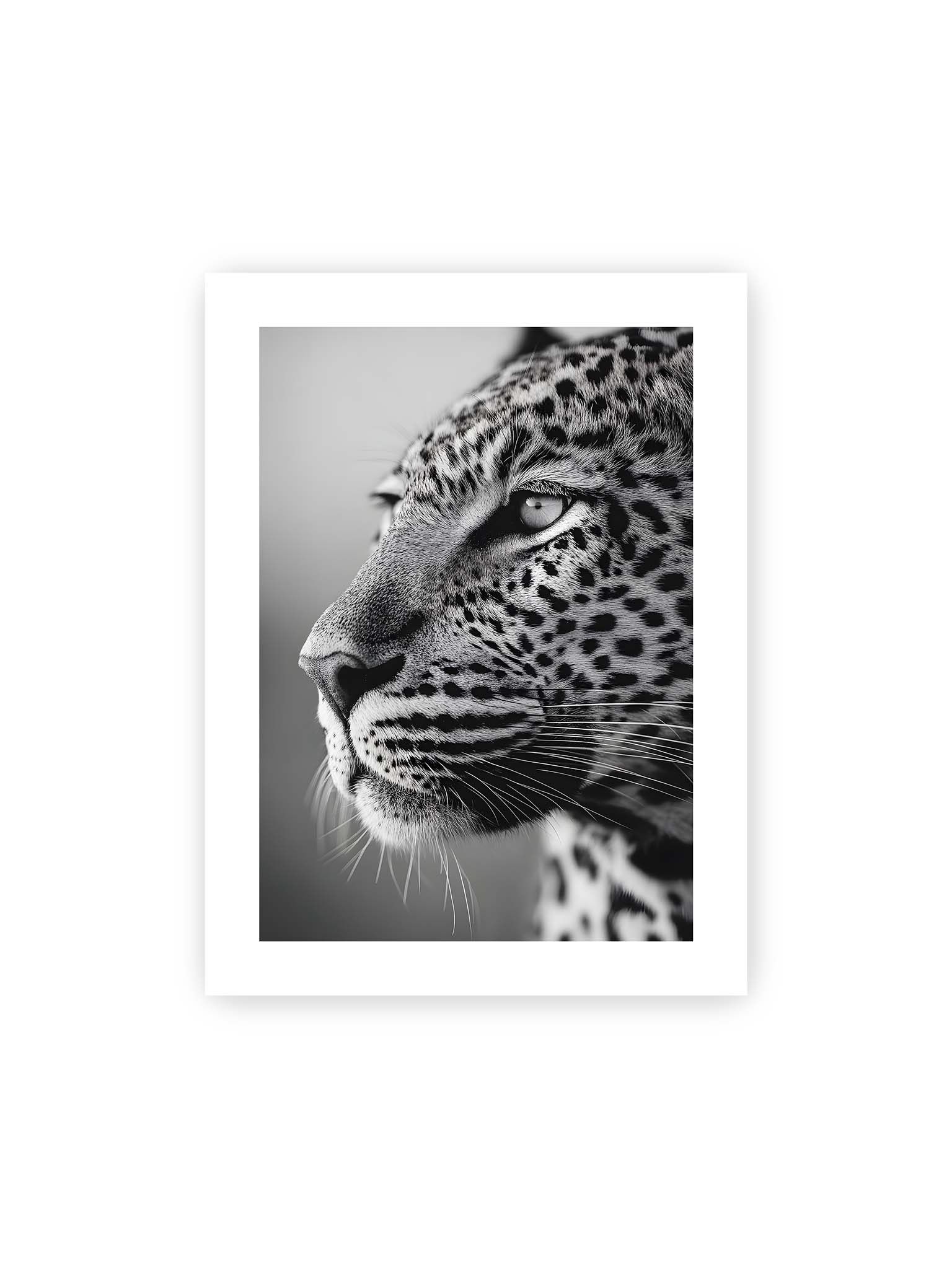 30x40 cm, weißer Galerie-Rand – Schwarzweißes Porträt eines Leoparden mit ruhigem Blick, sichtbarer Fellstruktur und feinen Schnurrhaaren.