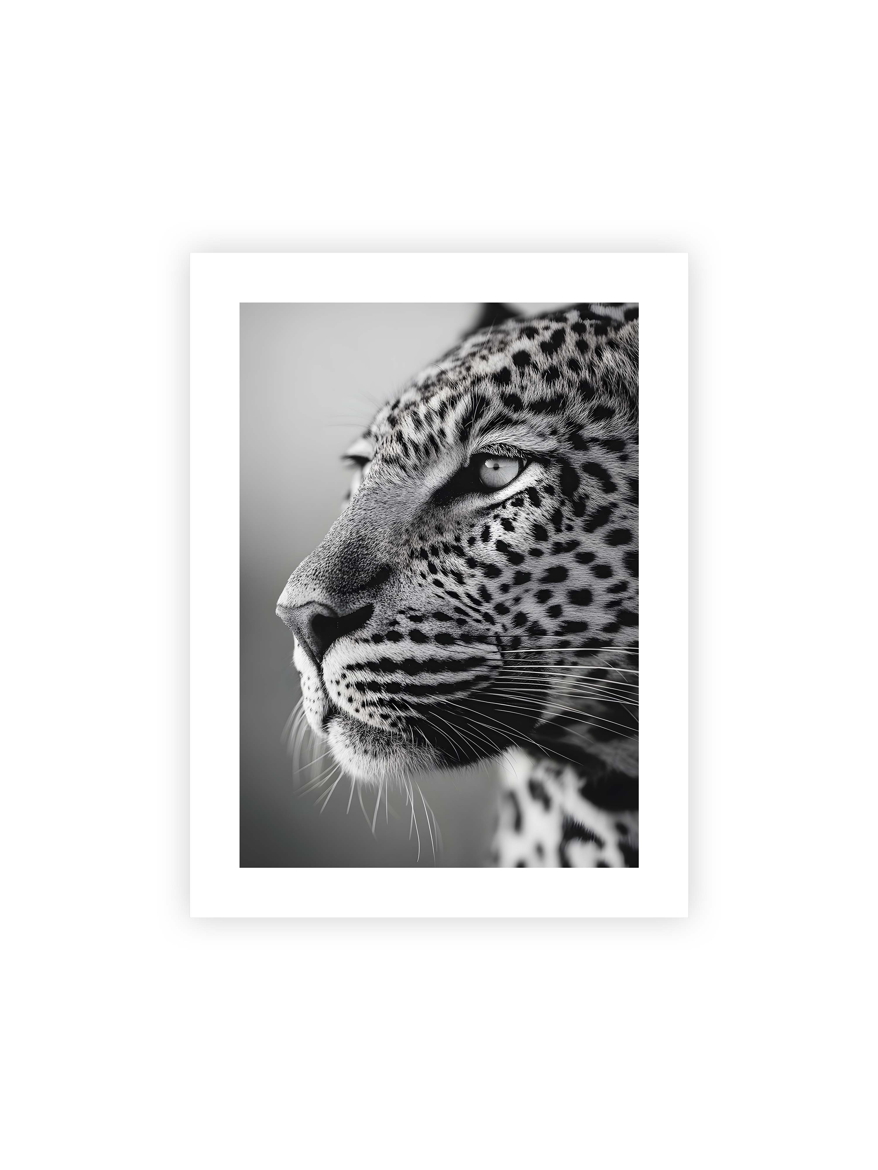 30x40 cm mit weißem Galerie-Rand ohne Rahmen – Schwarzweißes Porträt eines Leoparden mit ruhigem Blick, sichtbarer Fellstruktur und feinen Schnurrhaaren.