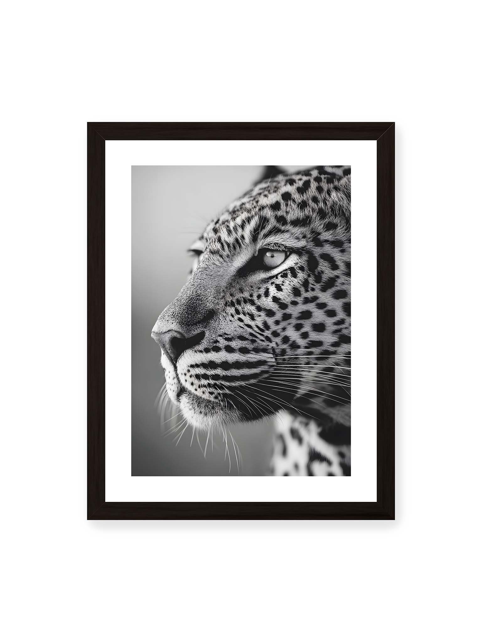 30x40 cm, weißer Galerie-Rand, schwarzer Rahmen – Schwarzweißes Porträt eines Leoparden mit ruhigem Blick, sichtbarer Fellstruktur und feinen Schnurrhaaren.
