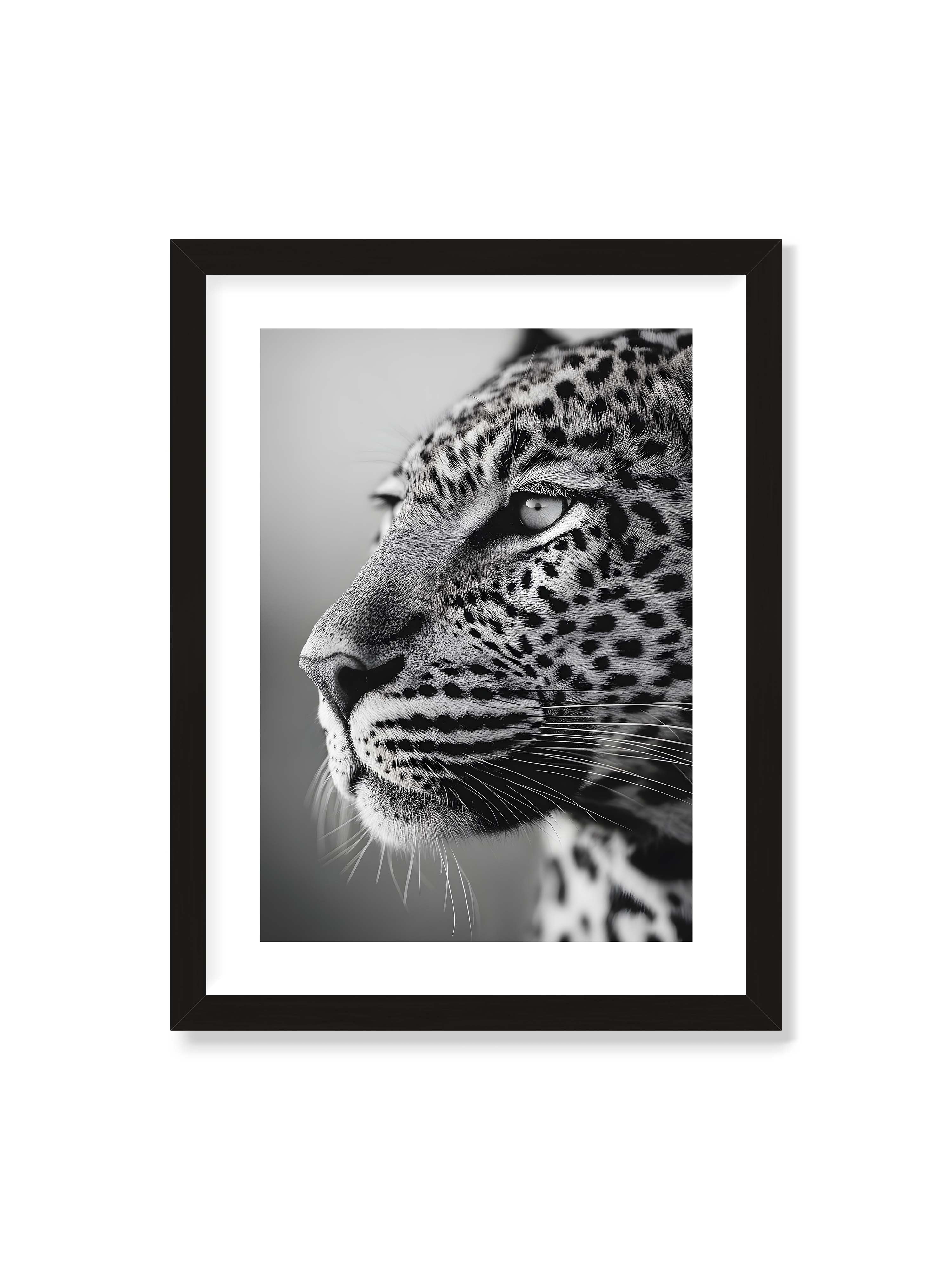 30x40 cm mit weißem Galerie-Rand mit schwarzem Rahmen – Schwarzweißes Porträt eines Leoparden mit ruhigem Blick, sichtbarer Fellstruktur und feinen Schnurrhaaren.