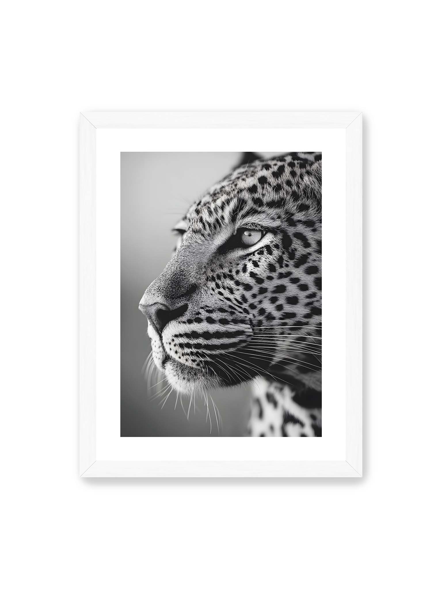 30x40 cm, weißer Galerie-Rand, weißer Rahmen – Schwarzweißes Porträt eines Leoparden mit ruhigem Blick, sichtbarer Fellstruktur und feinen Schnurrhaaren.
