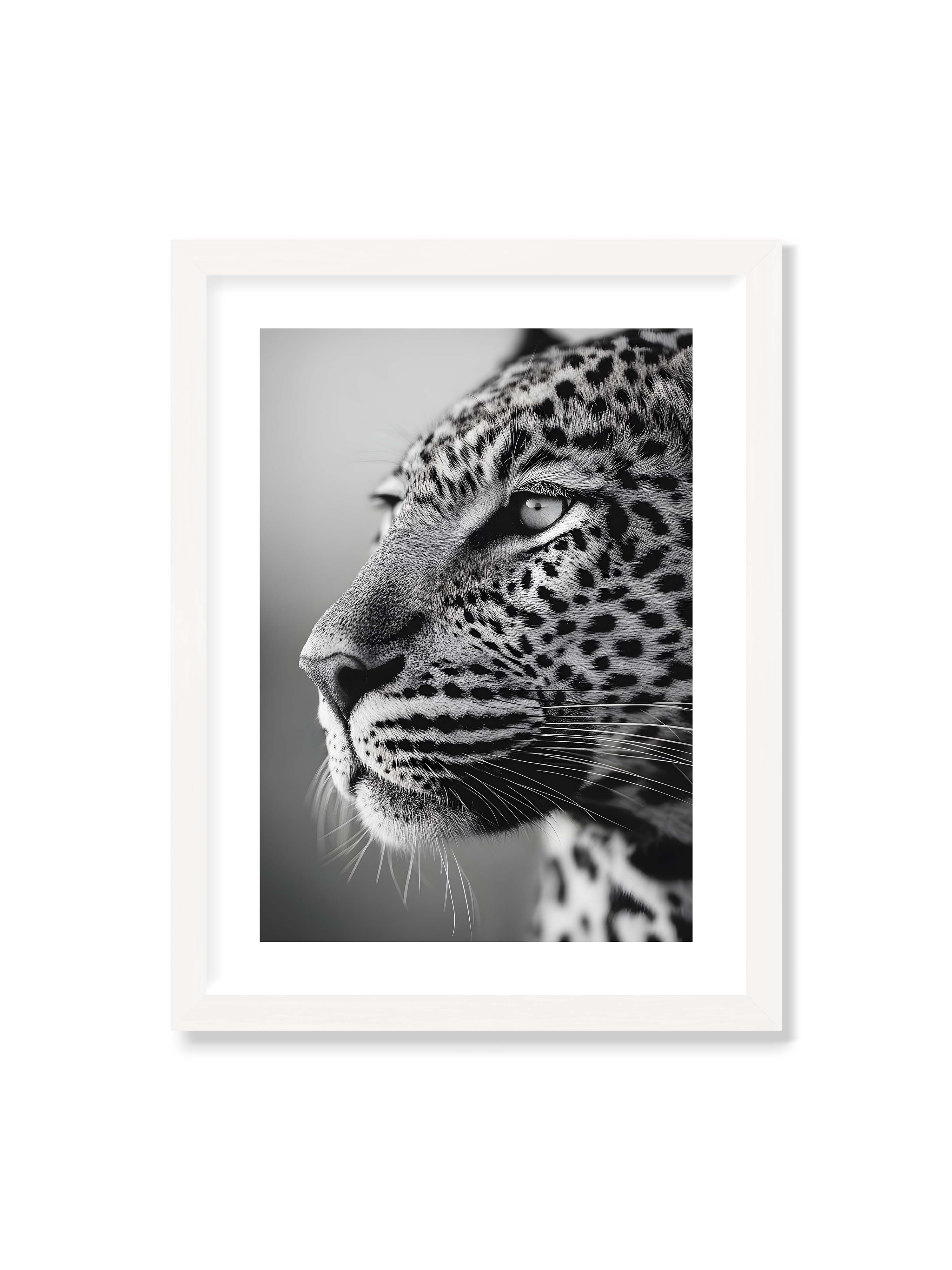30x40 cm mit weißem Galerie-Rand mit weißem Rahmen – Schwarzweißes Porträt eines Leoparden mit ruhigem Blick, sichtbarer Fellstruktur und feinen Schnurrhaaren.