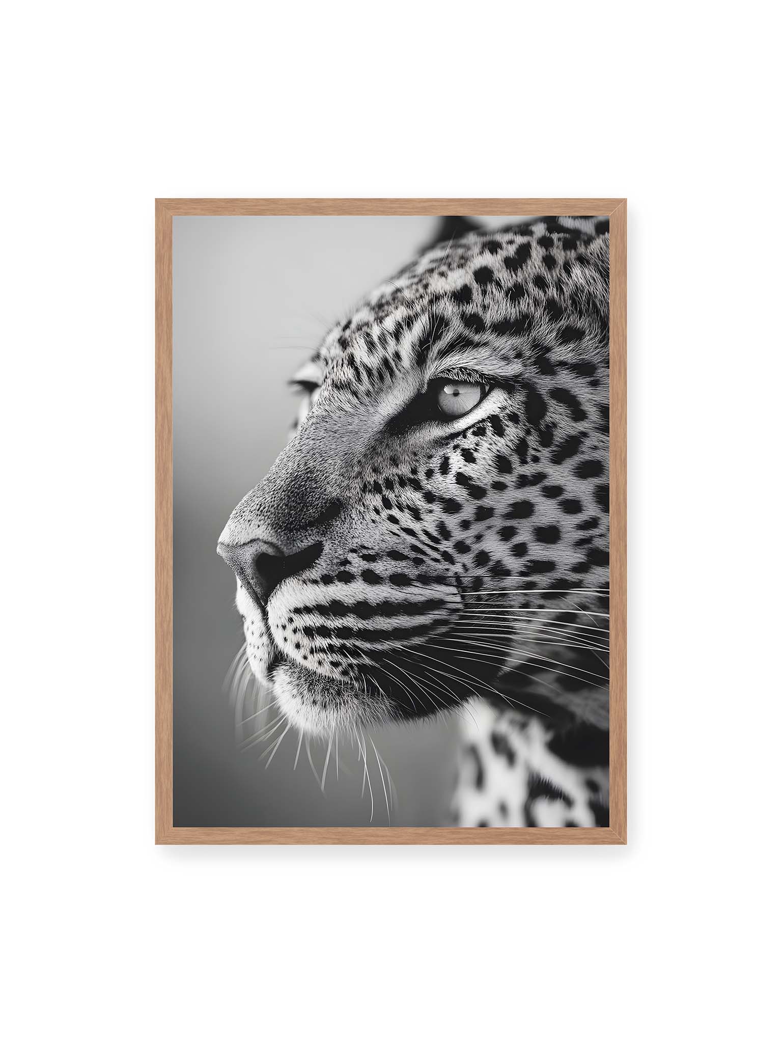 50x70 cm, Eichenrahmen – Schwarzweißes Porträt eines Leoparden mit ruhigem Blick, sichtbarer Fellstruktur und feinen Schnurrhaaren.