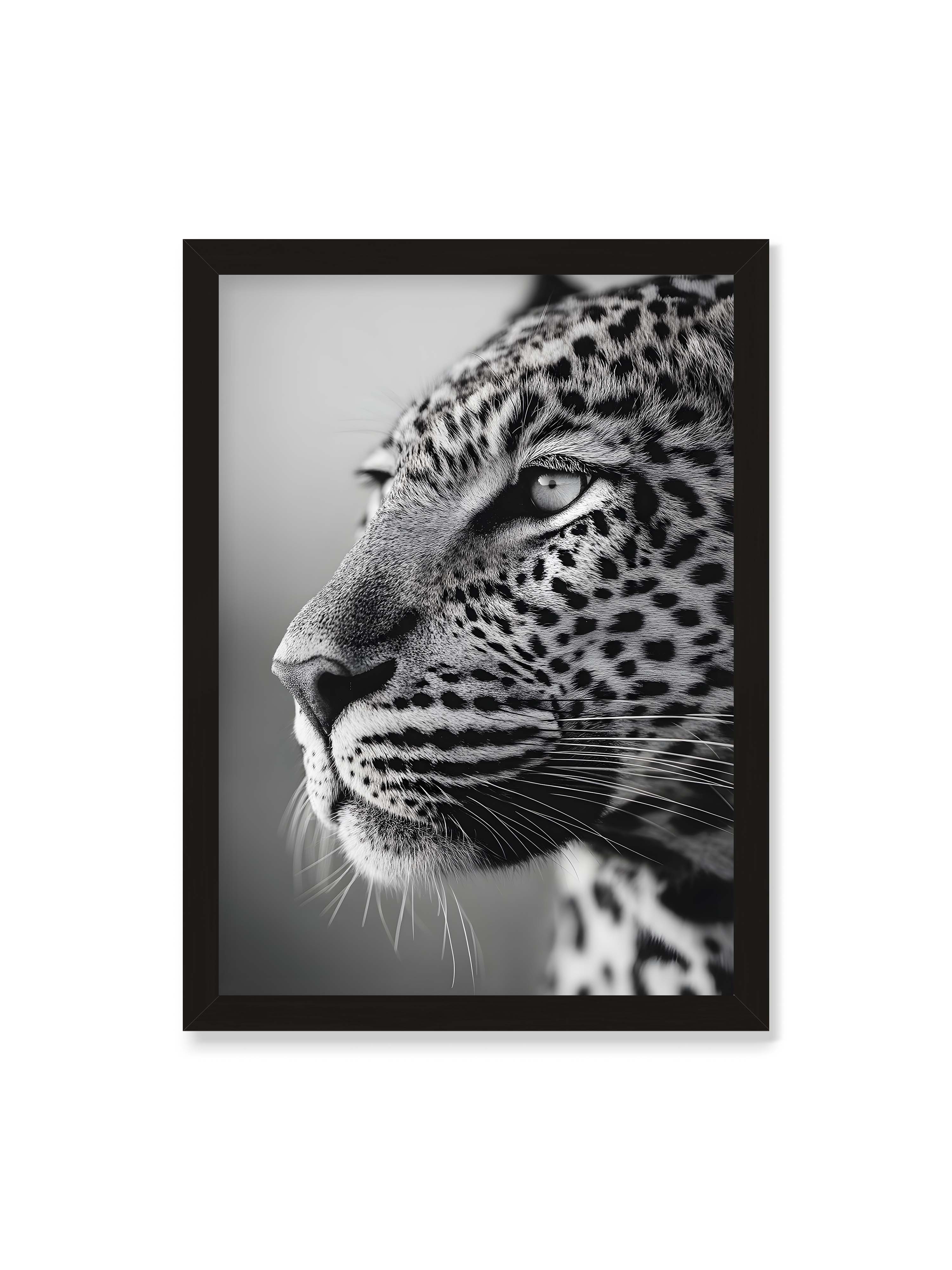 50x70 cm ohne Galerie-Rand mit schwarzem Rahmen – Schwarzweißes Porträt eines Leoparden mit ruhigem Blick, sichtbarer Fellstruktur und feinen Schnurrhaaren.