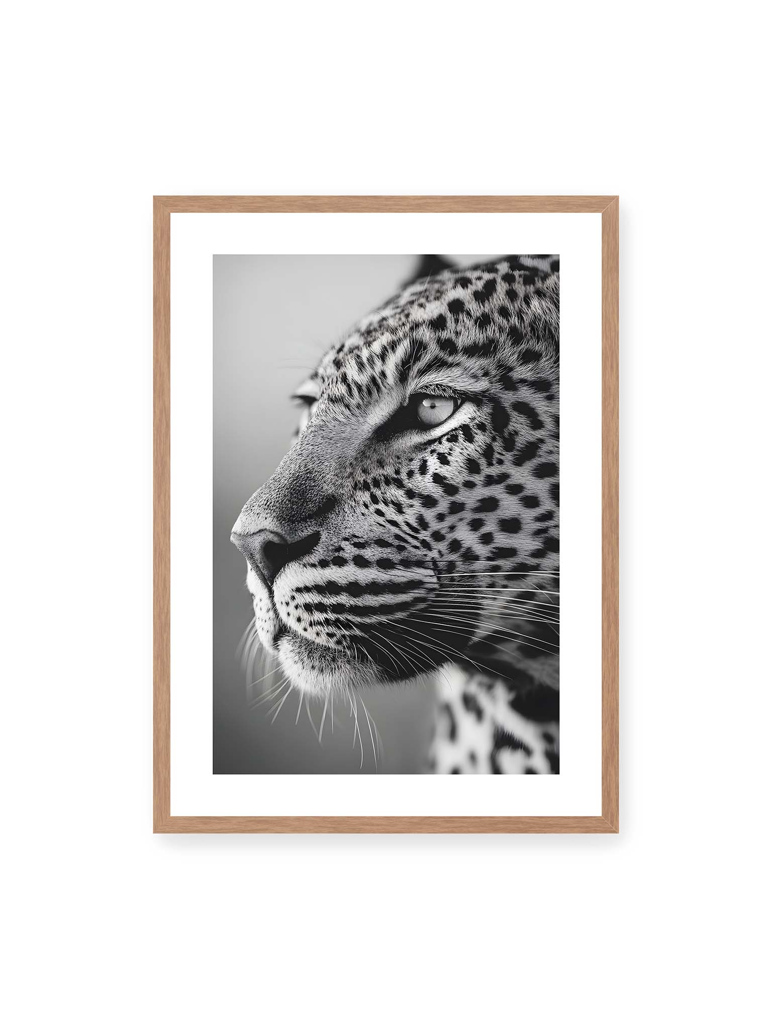 50x70 cm, weißer Galerie-Rand, Eichenrahmen – Schwarzweißes Porträt eines Leoparden mit ruhigem Blick, sichtbarer Fellstruktur und feinen Schnurrhaaren.