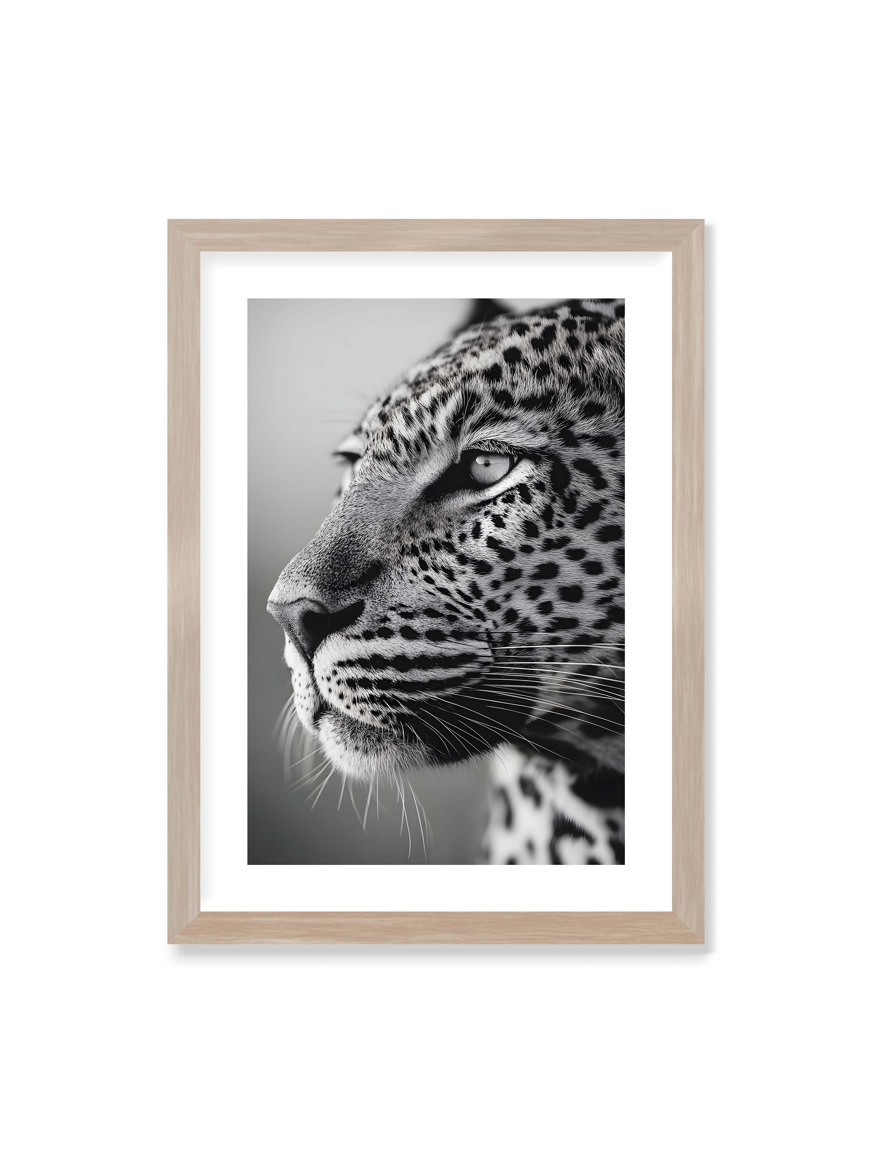 50x70 cm mit weißem Galerie-Rand im Eichenrahmen – Schwarzweißes Porträt eines Leoparden mit ruhigem Blick, sichtbarer Fellstruktur und feinen Schnurrhaaren.
