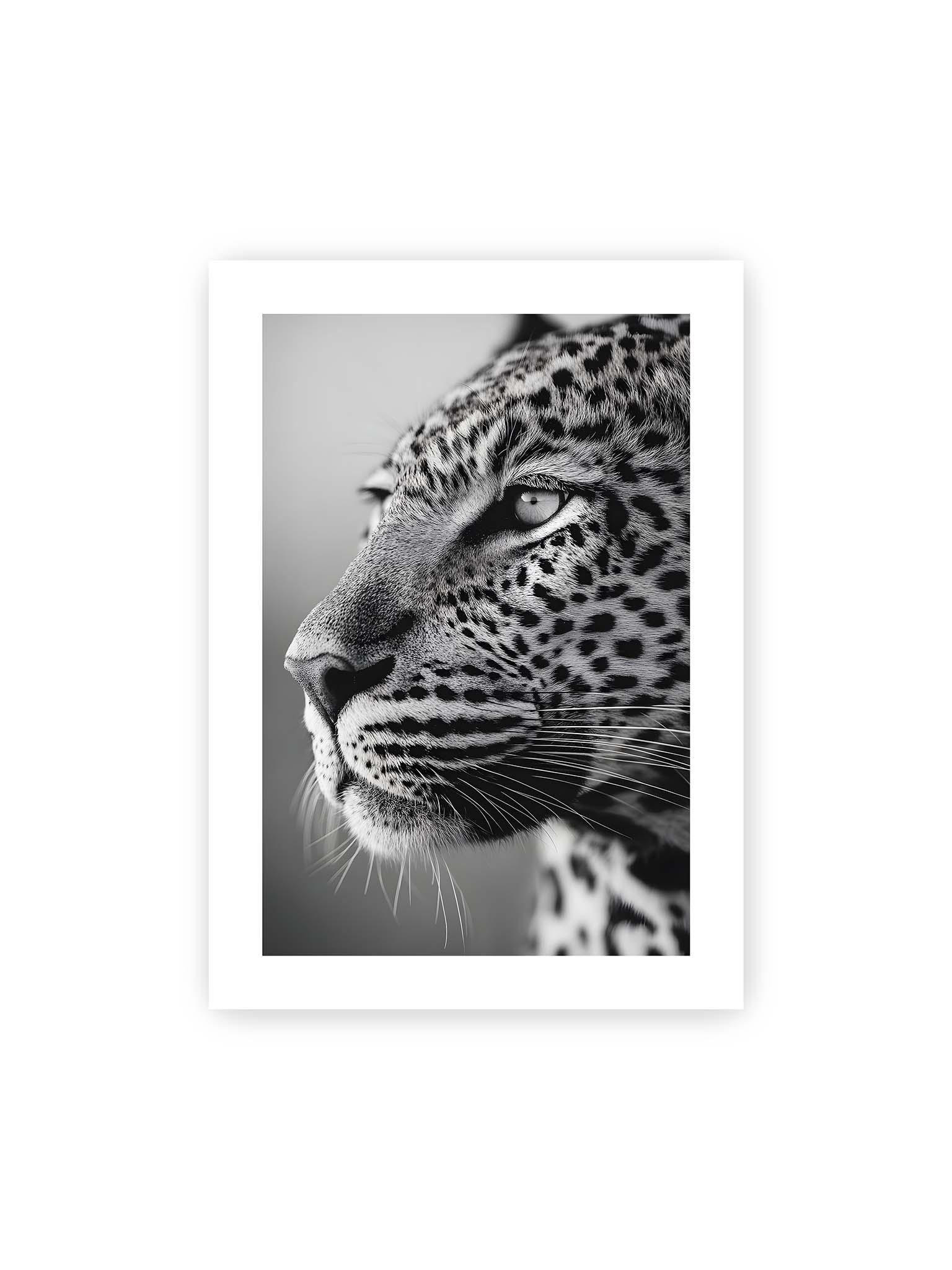 50x70 cm, weißer Galerie-Rand – Schwarzweißes Porträt eines Leoparden mit ruhigem Blick, sichtbarer Fellstruktur und feinen Schnurrhaaren.