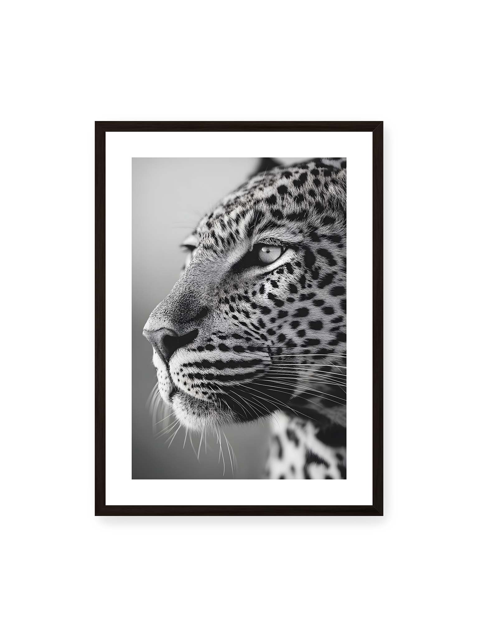 50x70 cm, weißer Galerie-Rand, schwarzer Rahmen – Schwarzweißes Porträt eines Leoparden mit ruhigem Blick, sichtbarer Fellstruktur und feinen Schnurrhaaren.