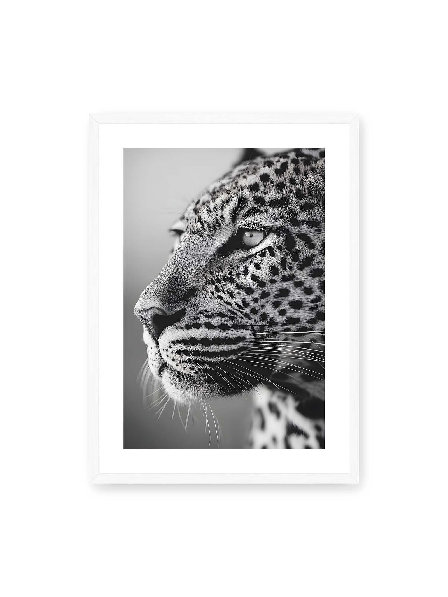 50x70 cm, weißer Galerie-Rand, weißer Rahmen – Schwarzweißes Porträt eines Leoparden mit ruhigem Blick, sichtbarer Fellstruktur und feinen Schnurrhaaren.