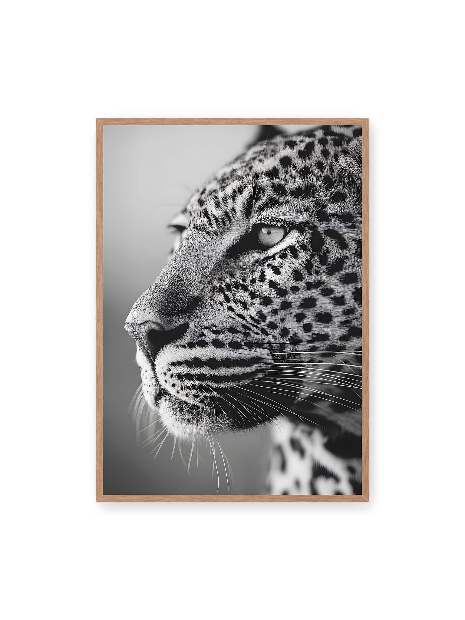 70x100 cm, Eichenrahmen – Schwarzweißes Porträt eines Leoparden mit ruhigem Blick, sichtbarer Fellstruktur und feinen Schnurrhaaren.