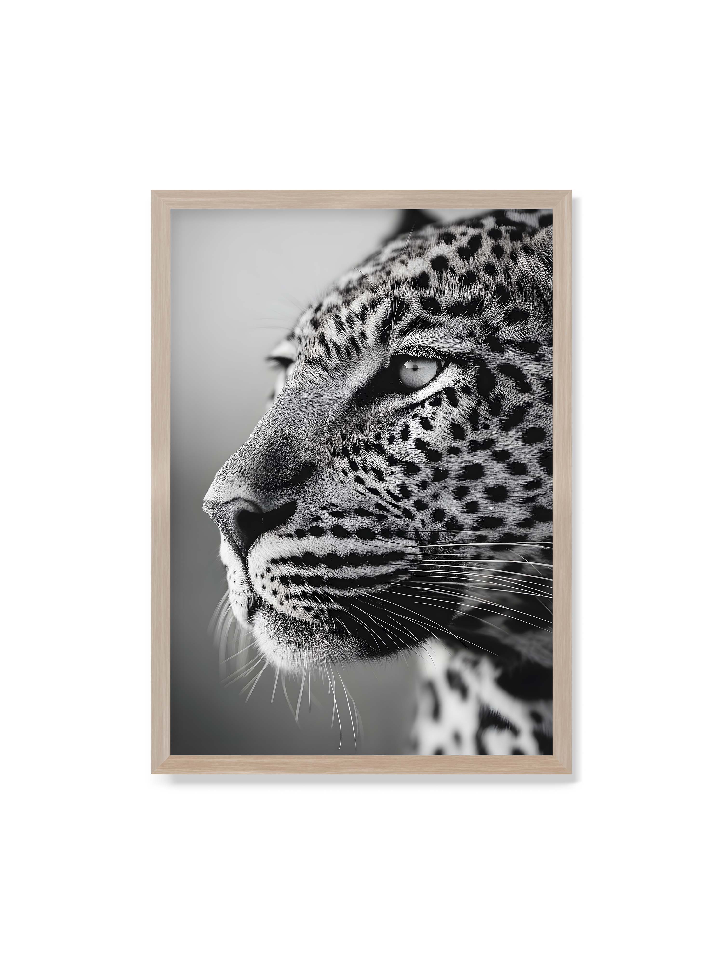 70x100 cm ohne Galerie-Rand im Eichenrahmen – Schwarzweißes Porträt eines Leoparden mit ruhigem Blick, sichtbarer Fellstruktur und feinen Schnurrhaaren.