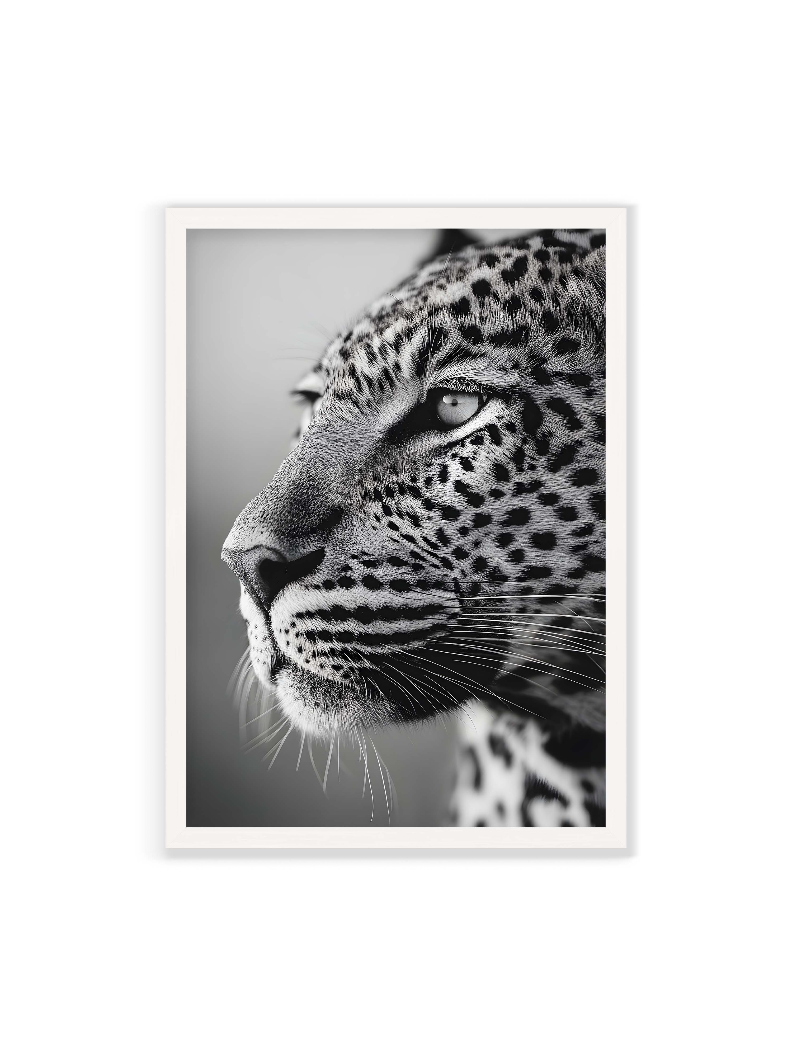 70x100 cm ohne Galerie-Rand mit weißem Rahmen – Schwarzweißes Porträt eines Leoparden mit ruhigem Blick, sichtbarer Fellstruktur und feinen Schnurrhaaren.