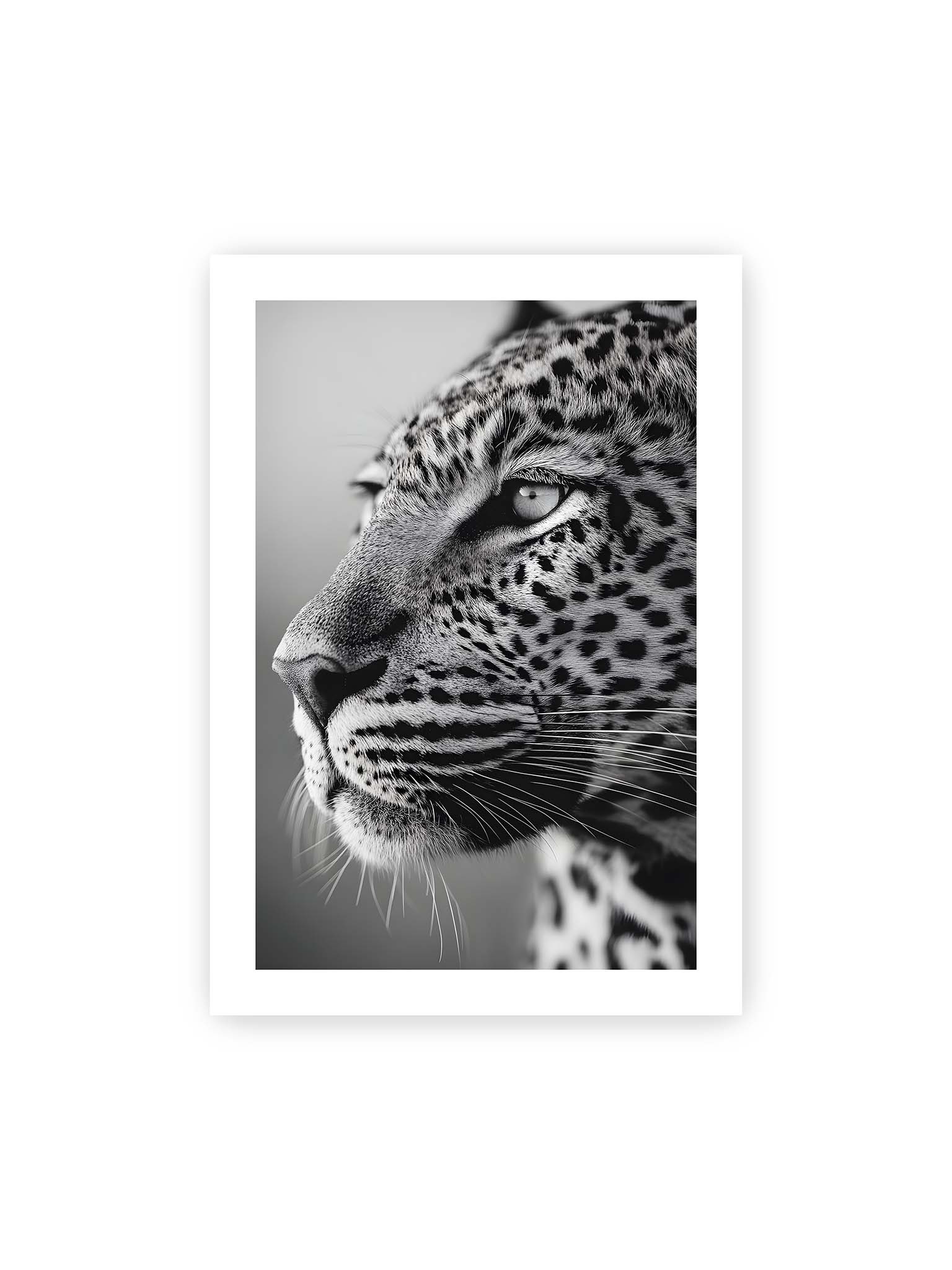 70x100 cm, weißer Galerie-Rand – Schwarzweißes Porträt eines Leoparden mit ruhigem Blick, sichtbarer Fellstruktur und feinen Schnurrhaaren.