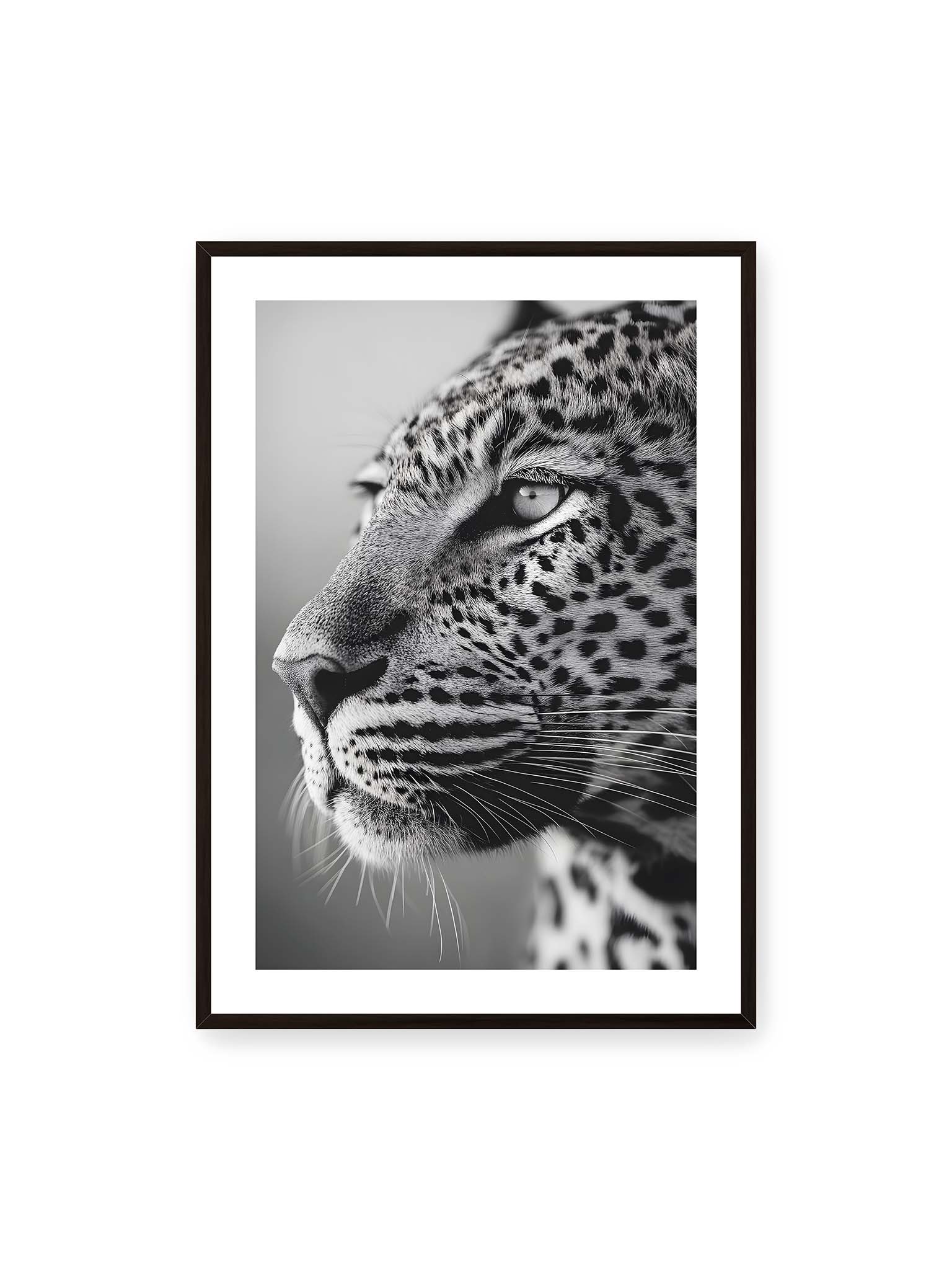 70x100 cm, weißer Galerie-Rand, schwarzer Rahmen – Schwarzweißes Porträt eines Leoparden mit ruhigem Blick, sichtbarer Fellstruktur und feinen Schnurrhaaren.
