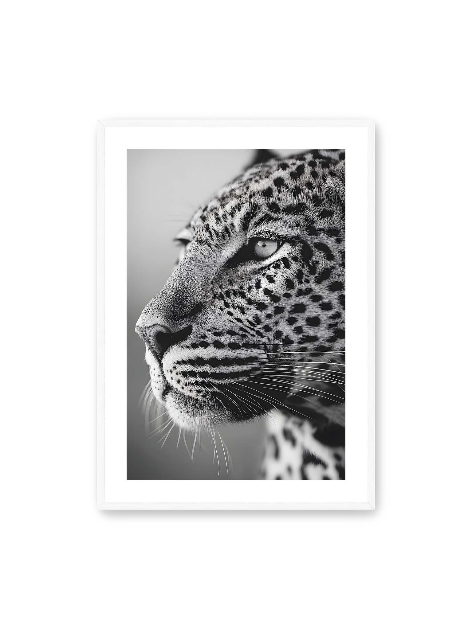 70x100 cm, weißer Galerie-Rand, weißer Rahmen – Schwarzweißes Porträt eines Leoparden mit ruhigem Blick, sichtbarer Fellstruktur und feinen Schnurrhaaren.