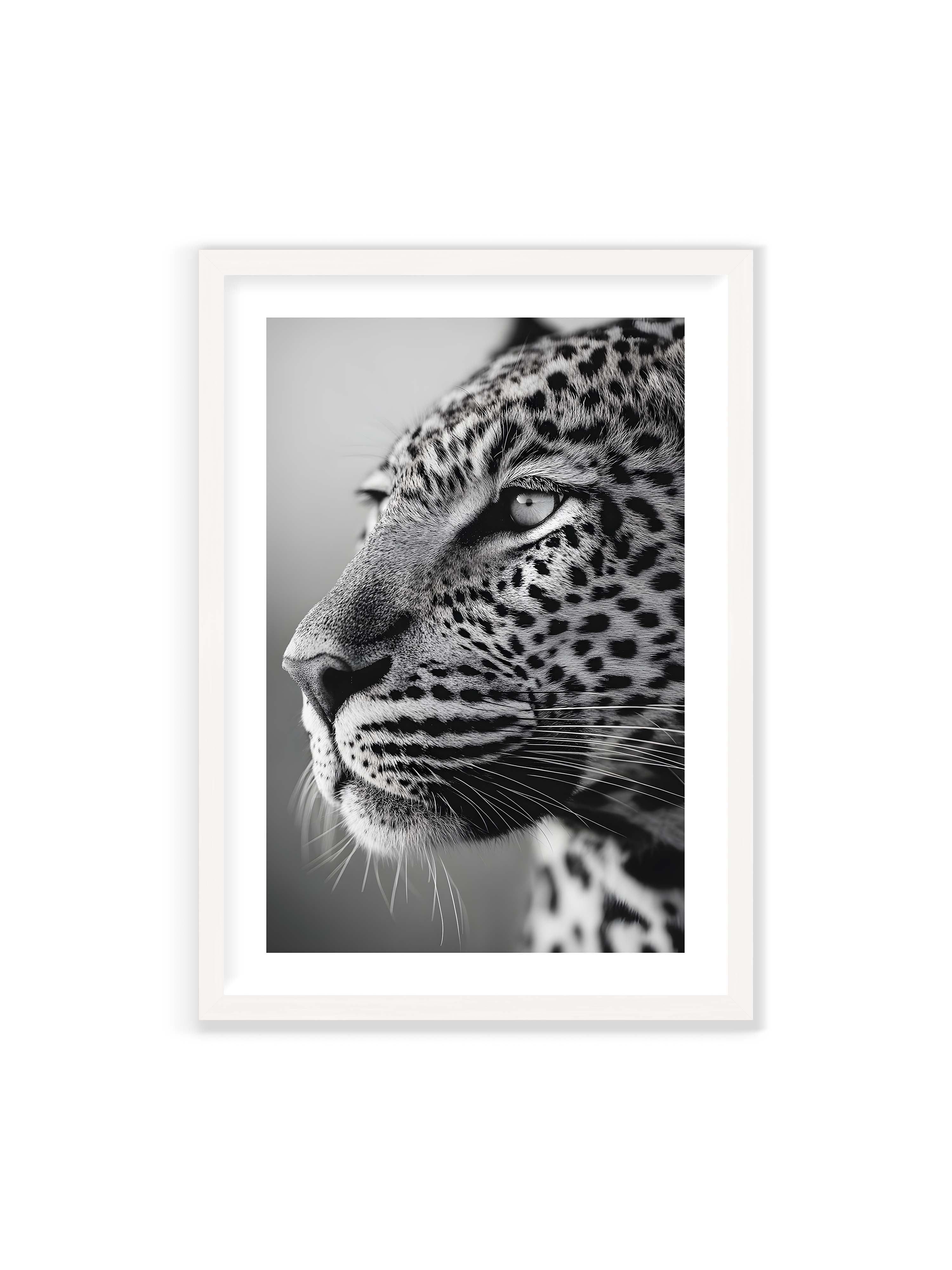 70x100 cm mit weißem Galerie-Rand mit weißem Rahmen – Schwarzweißes Porträt eines Leoparden mit ruhigem Blick, sichtbarer Fellstruktur und feinen Schnurrhaaren.
