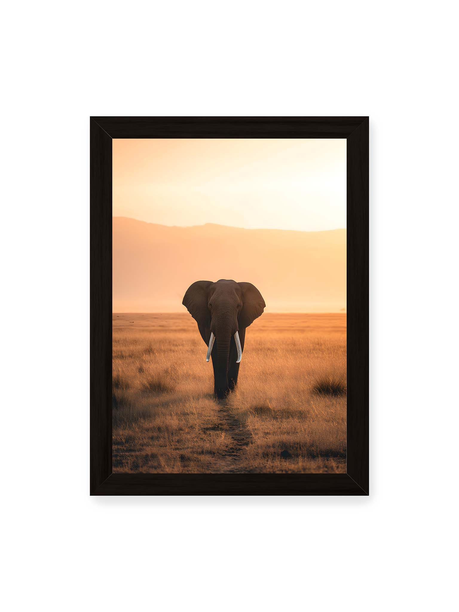 21x30 cm, schwarzer Rahmen – Elefant mit langen Stoßzähnen läuft frontal durch hohes Gras der Savanne im warmen Licht.