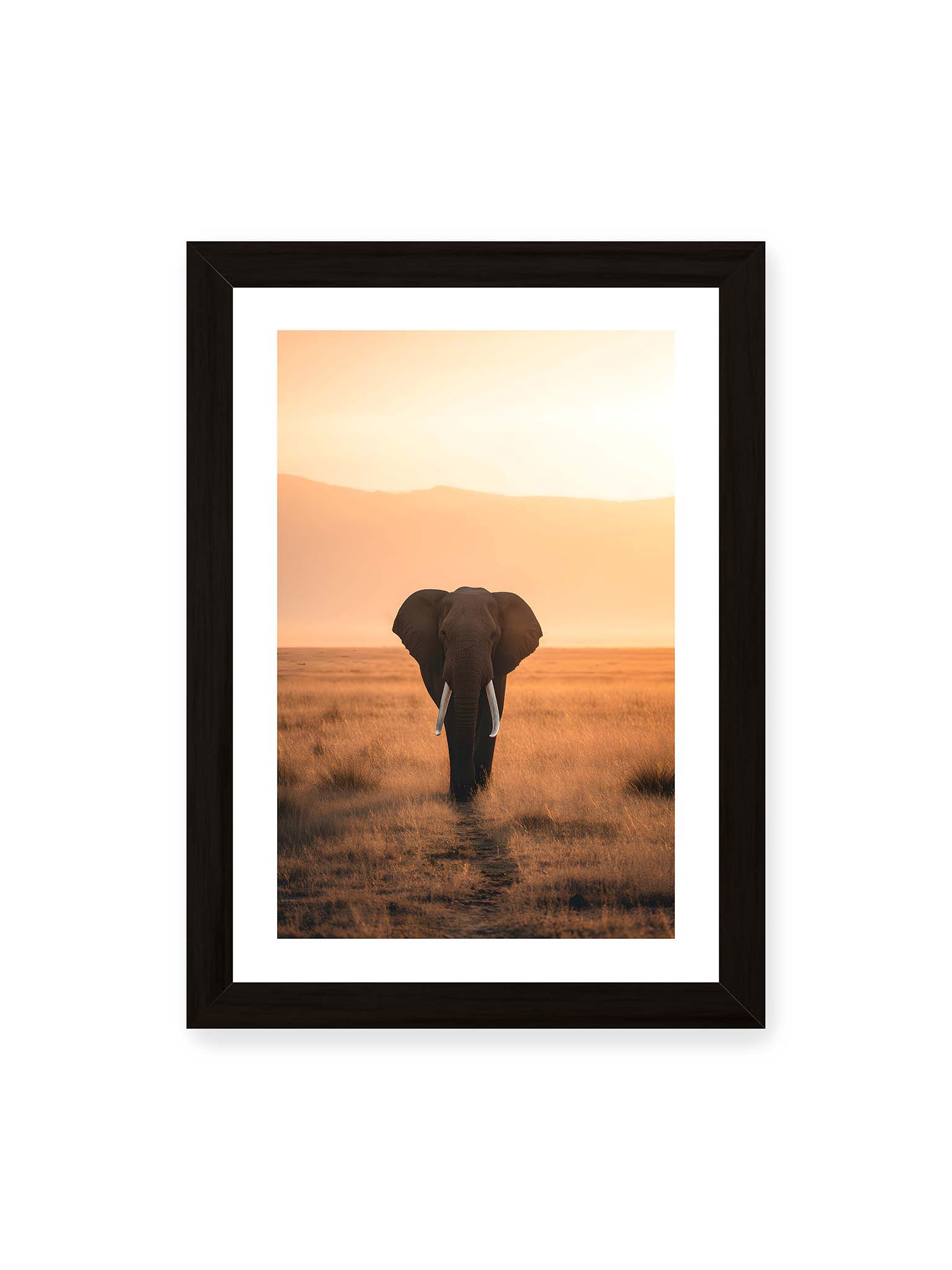 21x30 cm, weißer Galerie-Rand, schwarzer Rahmen – Elefant mit langen Stoßzähnen läuft frontal durch hohes Gras der Savanne im warmen Licht.