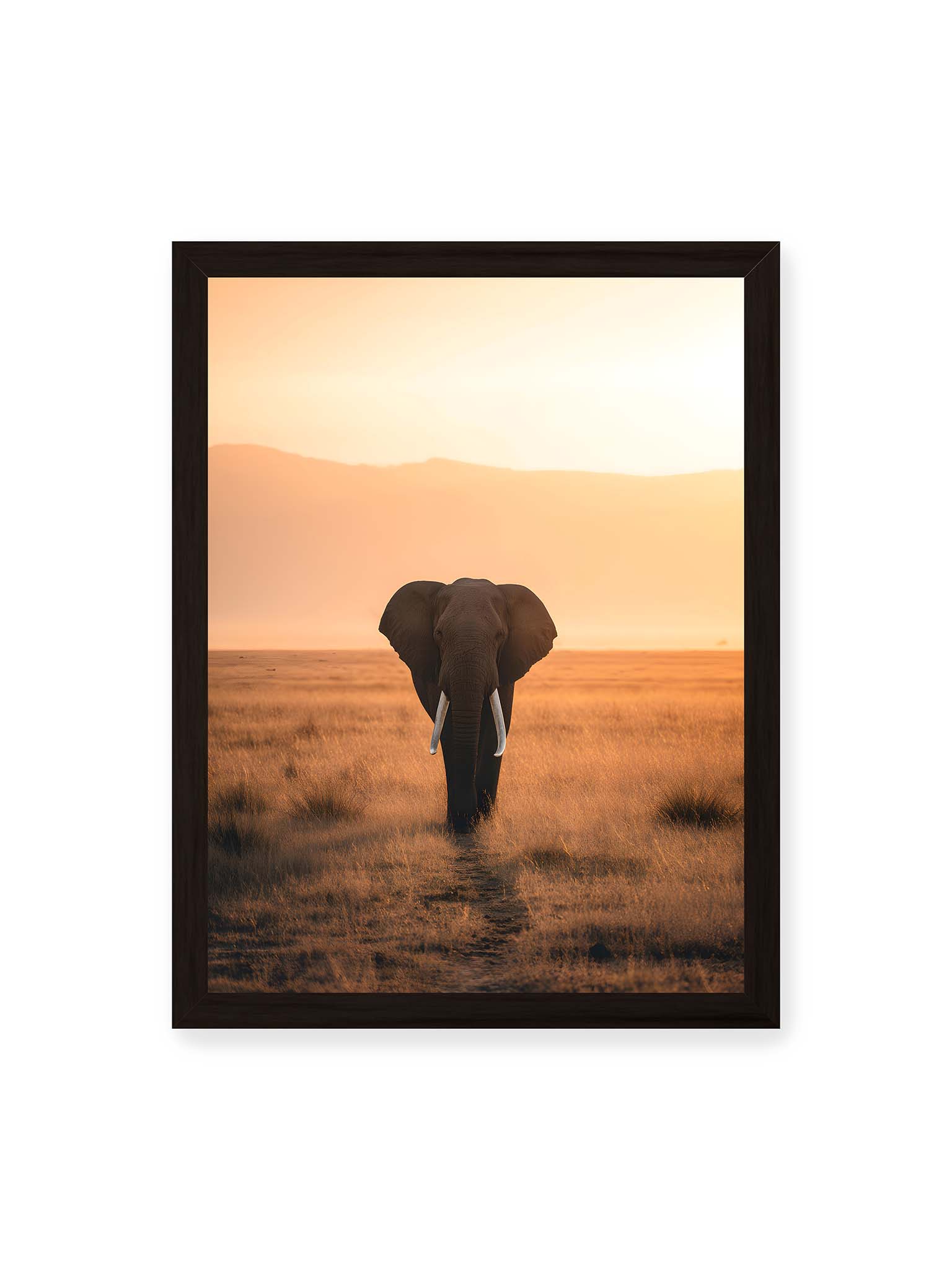 30x40 cm, schwarzer Rahmen – Elefant mit langen Stoßzähnen läuft frontal durch hohes Gras der Savanne im warmen Licht.