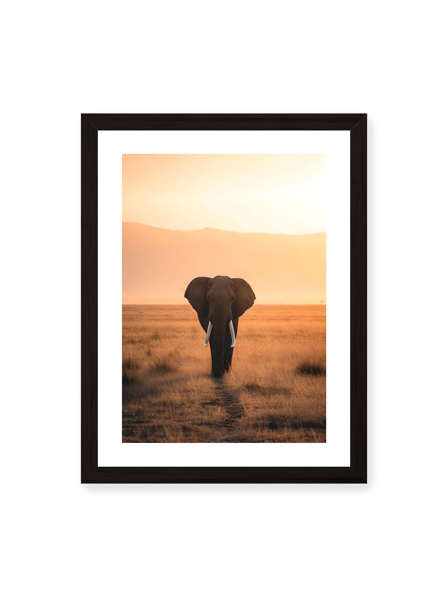 30x40 cm, weißer Galerie-Rand, schwarzer Rahmen – Elefant mit langen Stoßzähnen läuft frontal durch hohes Gras der Savanne im warmen Licht.