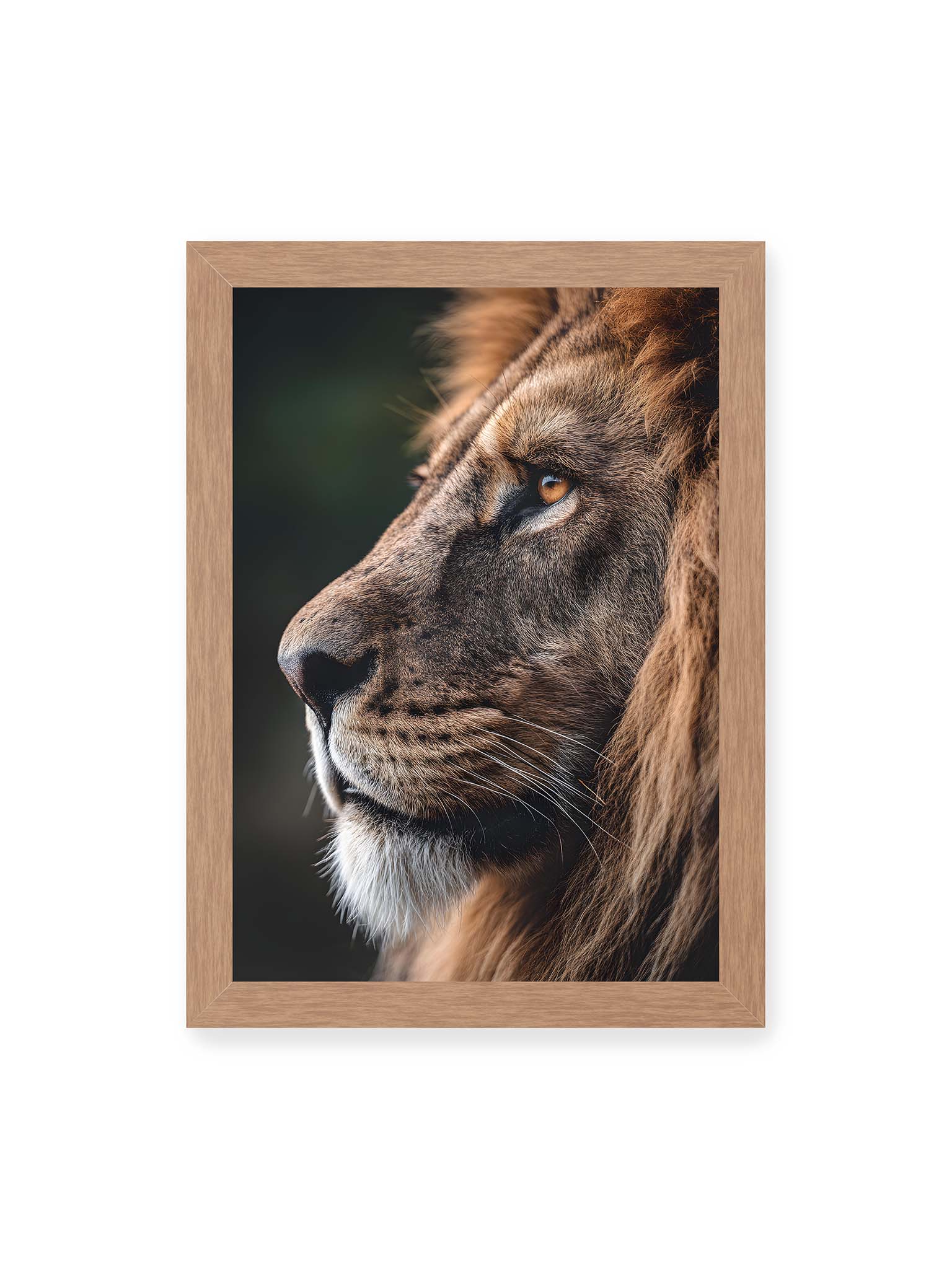 21x30 cm, Eichenrahmen – Profil eines Löwen mit dichter Mähne und ruhigem Blick vor dunklem Hintergrund, warmes Licht betont Fell und Gesichtszüge.