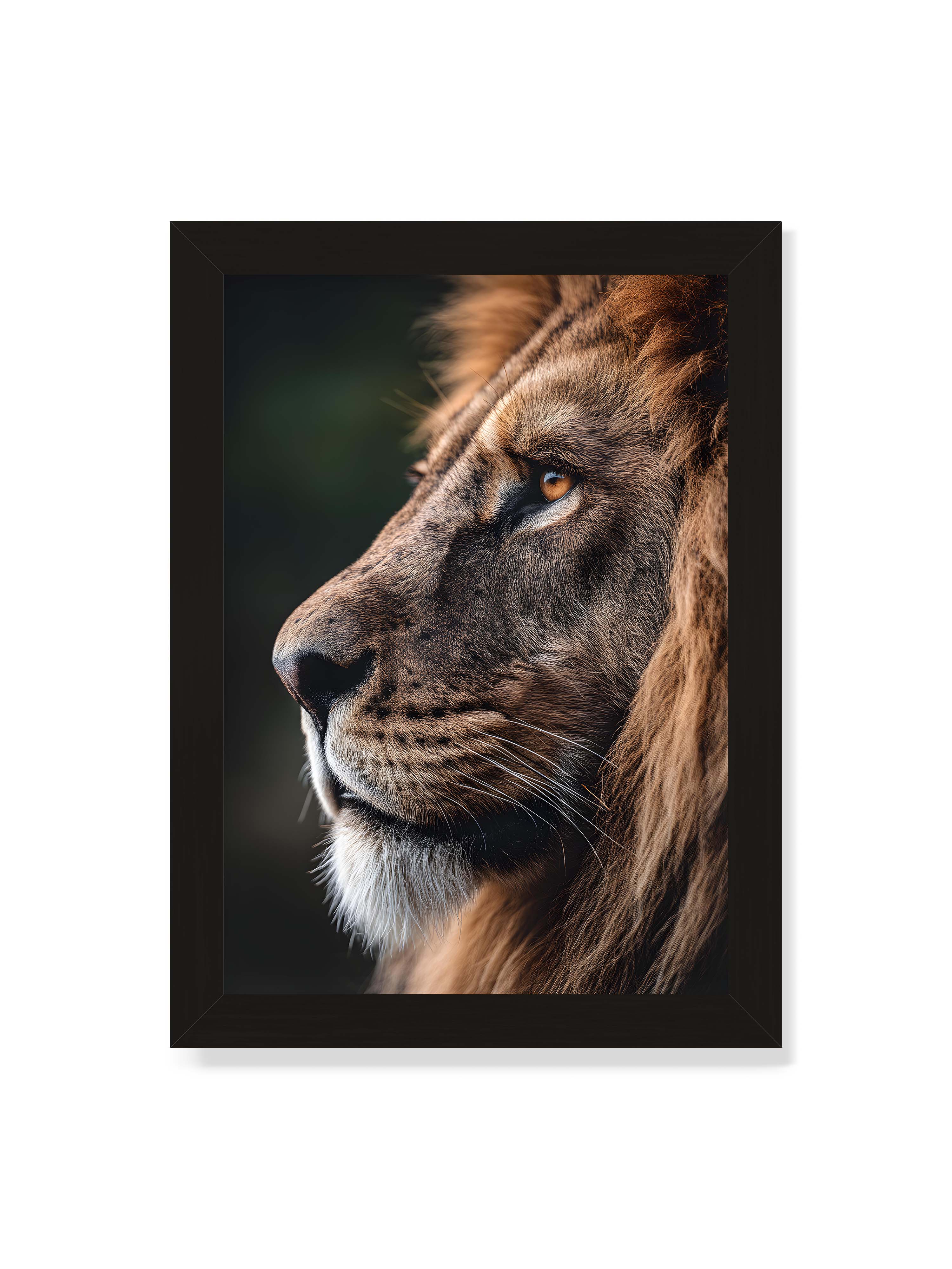 21x30 cm ohne Galerie-Rand mit schwarzem Rahmen – Profil eines Löwen mit dichter Mähne und ruhigem Blick vor dunklem Hintergrund, warmes Licht betont Fell und Gesichtszüge.