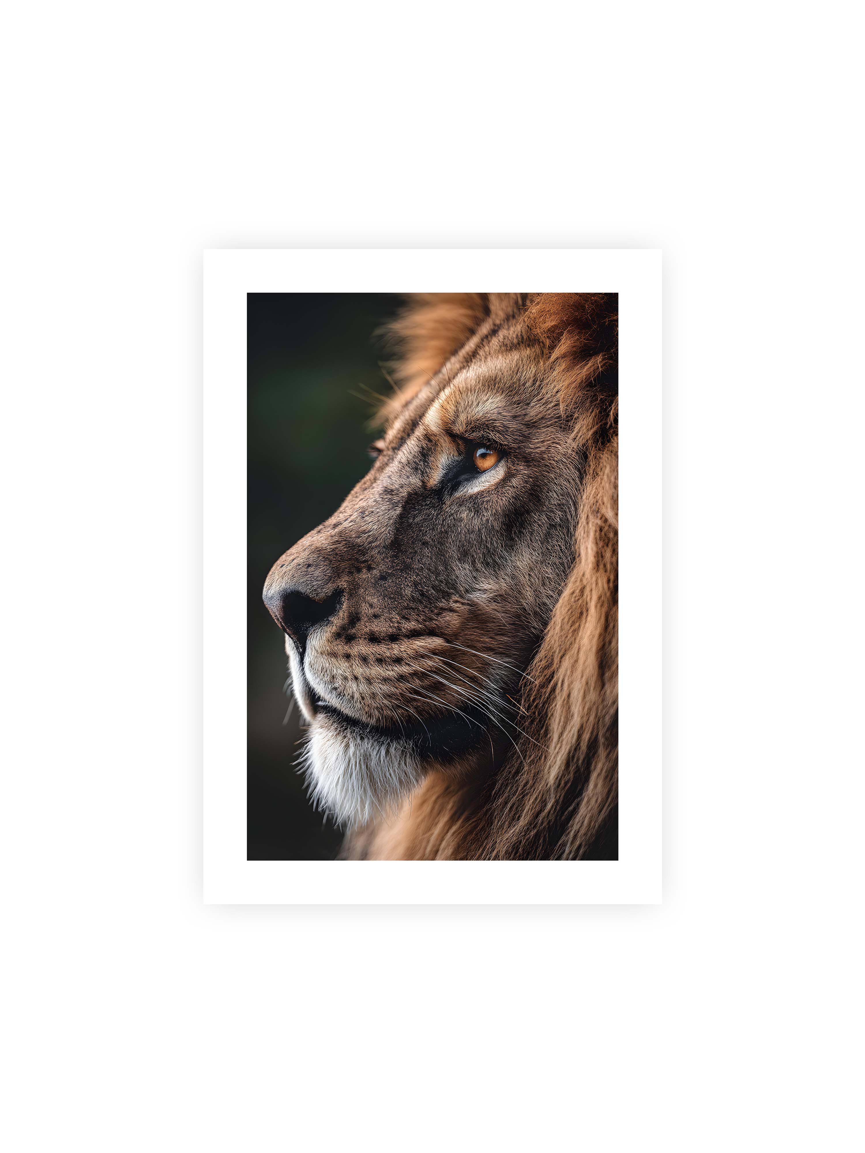21x30 cm mit weißem Galerie-Rand ohne Rahmen – Profil eines Löwen mit dichter Mähne und ruhigem Blick vor dunklem Hintergrund, warmes Licht betont Fell und Gesichtszüge.