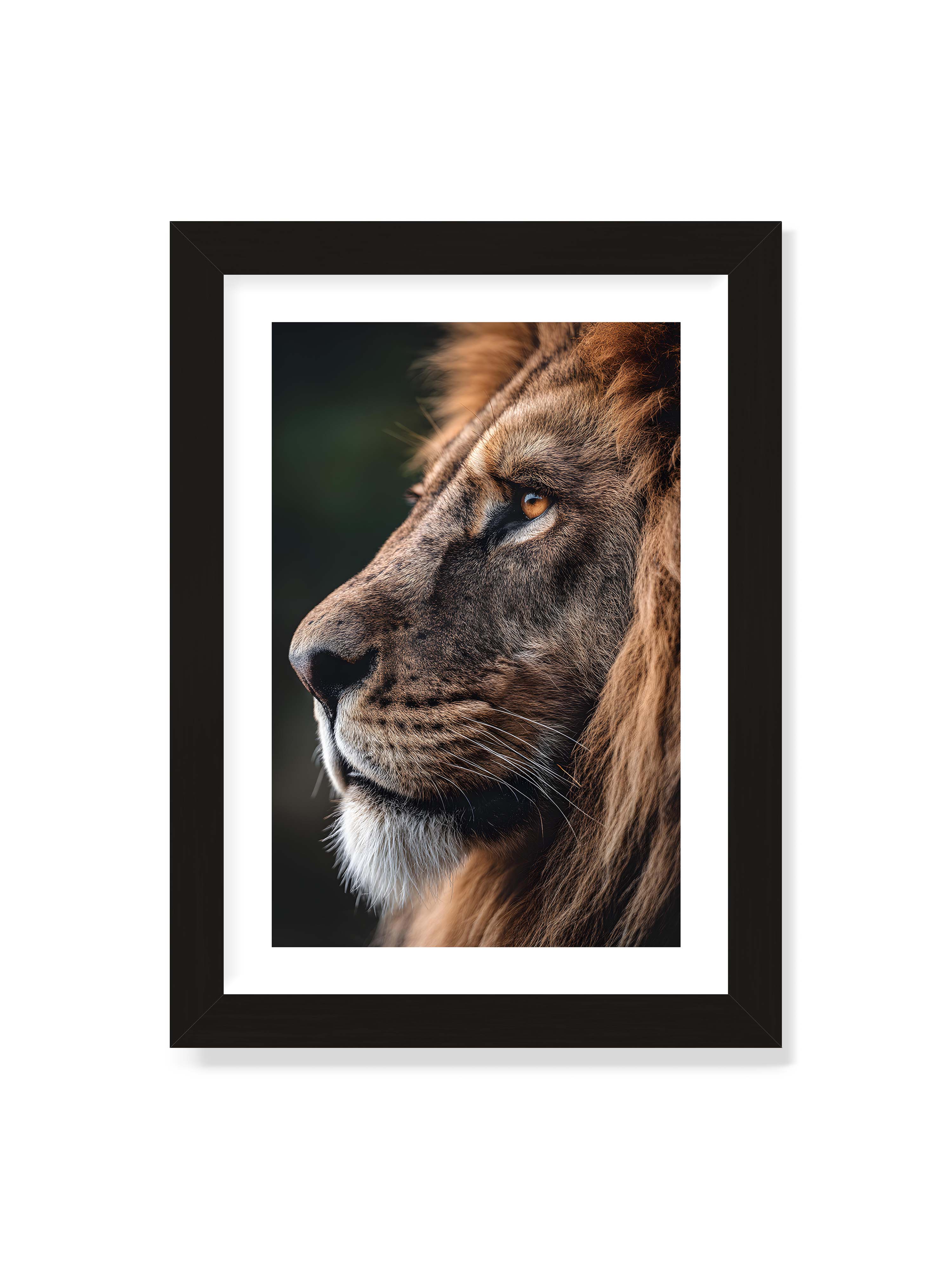 21x30 cm mit weißem Galerie-Rand mit schwarzem Rahmen – Profil eines Löwen mit dichter Mähne und ruhigem Blick vor dunklem Hintergrund, warmes Licht betont Fell und Gesichtszüge.