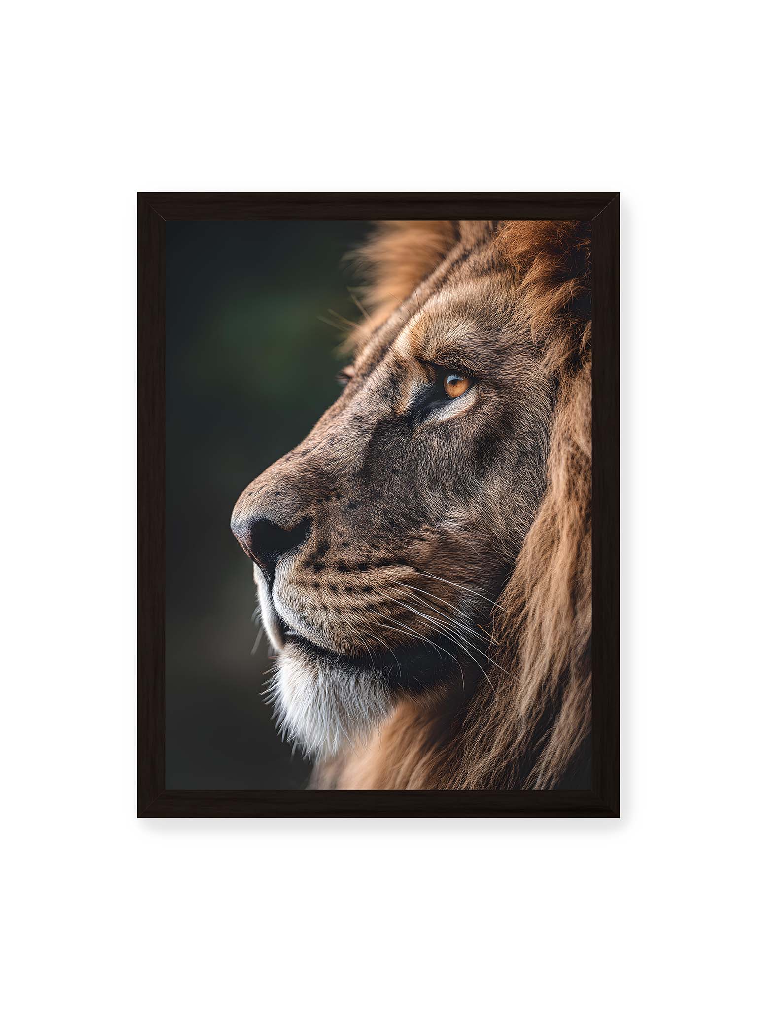 30x40 cm, schwarzer Rahmen – Profil eines Löwen mit dichter Mähne und ruhigem Blick vor dunklem Hintergrund, warmes Licht betont Fell und Gesichtszüge.