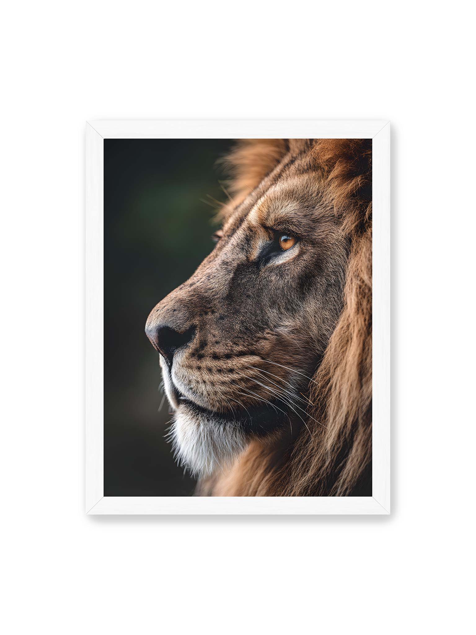 30x40 cm, weißer Rahmen – Profil eines Löwen mit dichter Mähne und ruhigem Blick vor dunklem Hintergrund, warmes Licht betont Fell und Gesichtszüge.