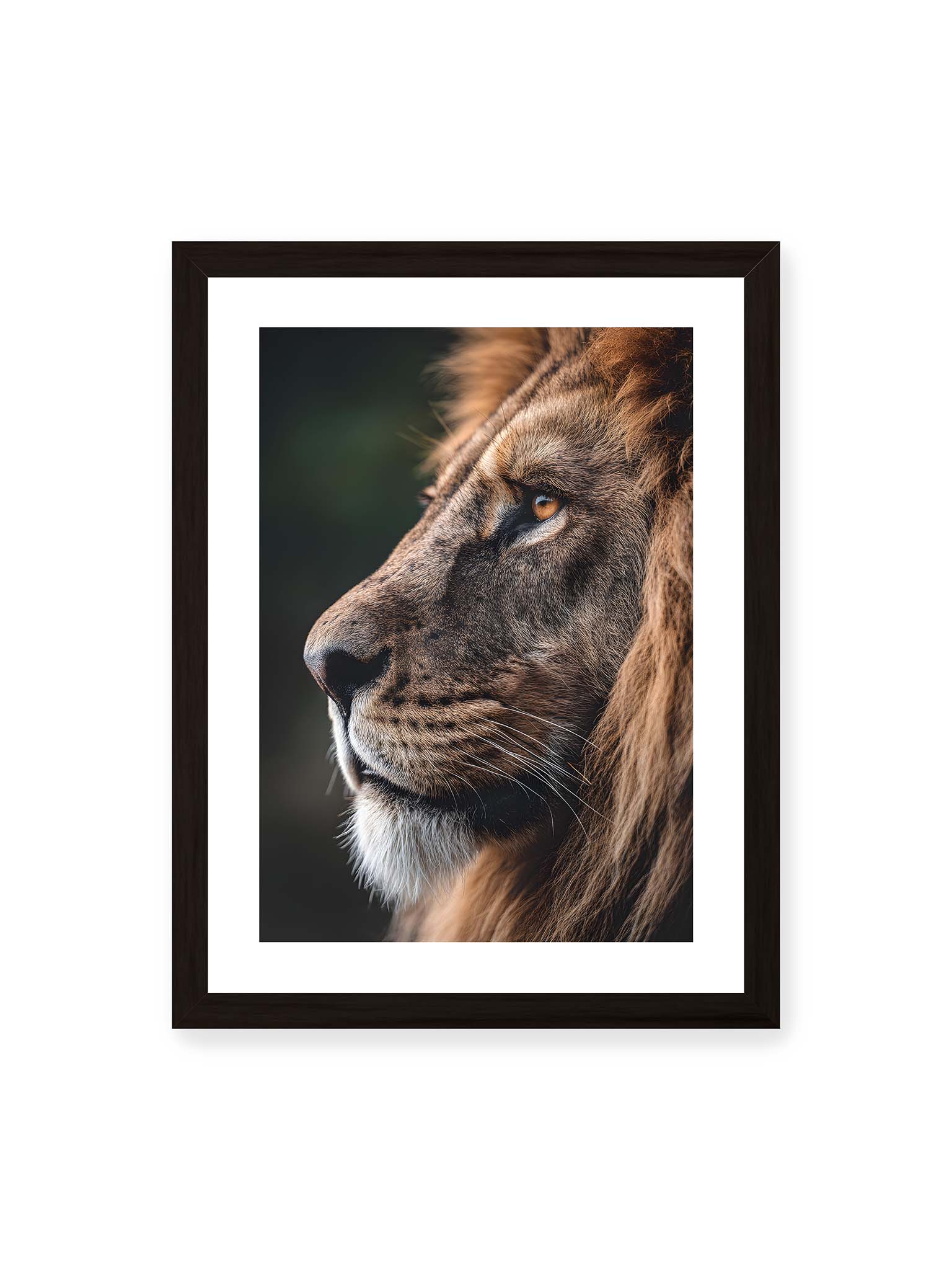 30x40 cm, weißer Galerie-Rand, schwarzer Rahmen – Profil eines Löwen mit dichter Mähne und ruhigem Blick vor dunklem Hintergrund, warmes Licht betont Fell und Gesichtszüge.