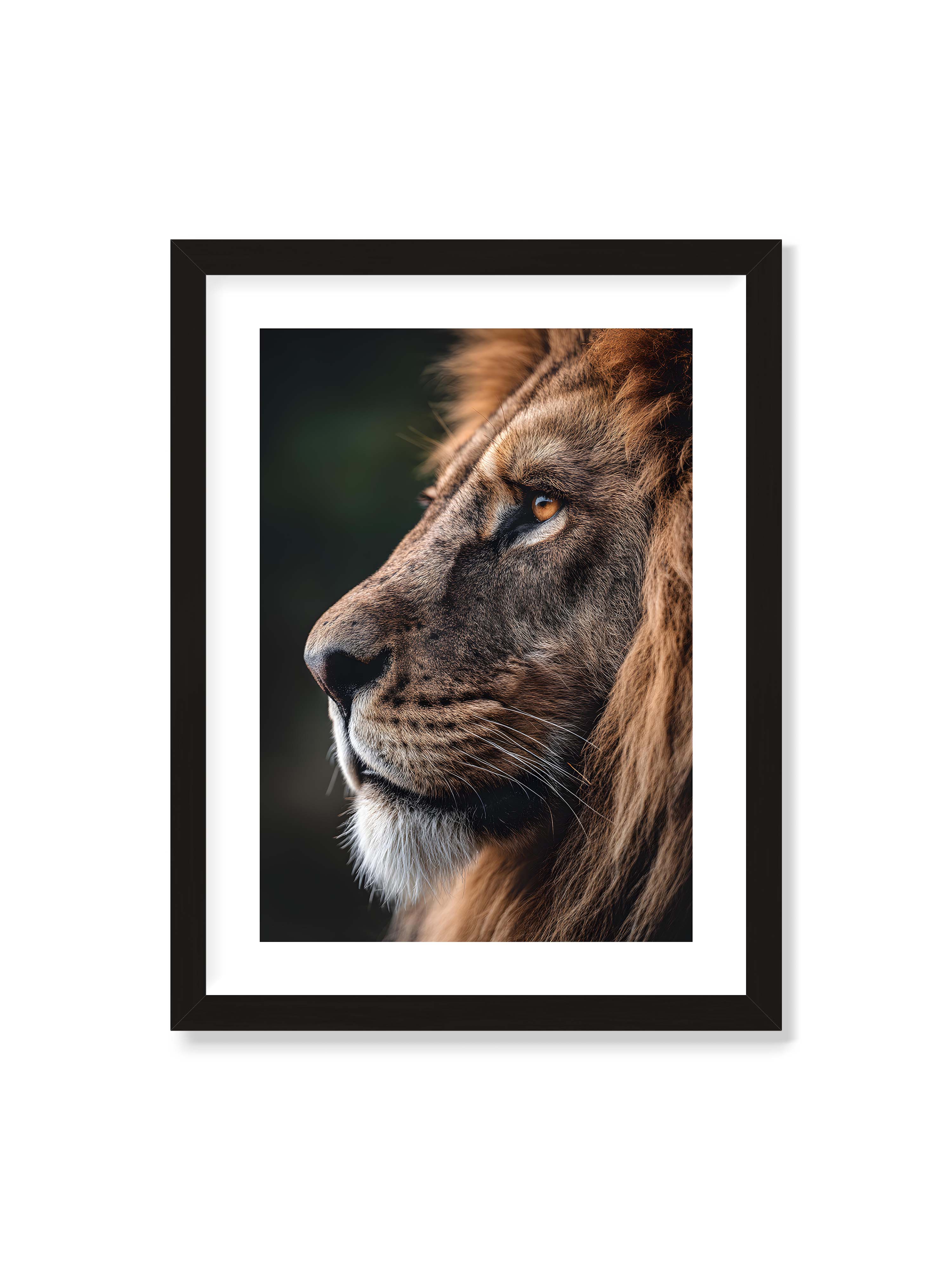 30x40 cm mit weißem Galerie-Rand mit schwarzem Rahmen – Profil eines Löwen mit dichter Mähne und ruhigem Blick vor dunklem Hintergrund, warmes Licht betont Fell und Gesichtszüge.